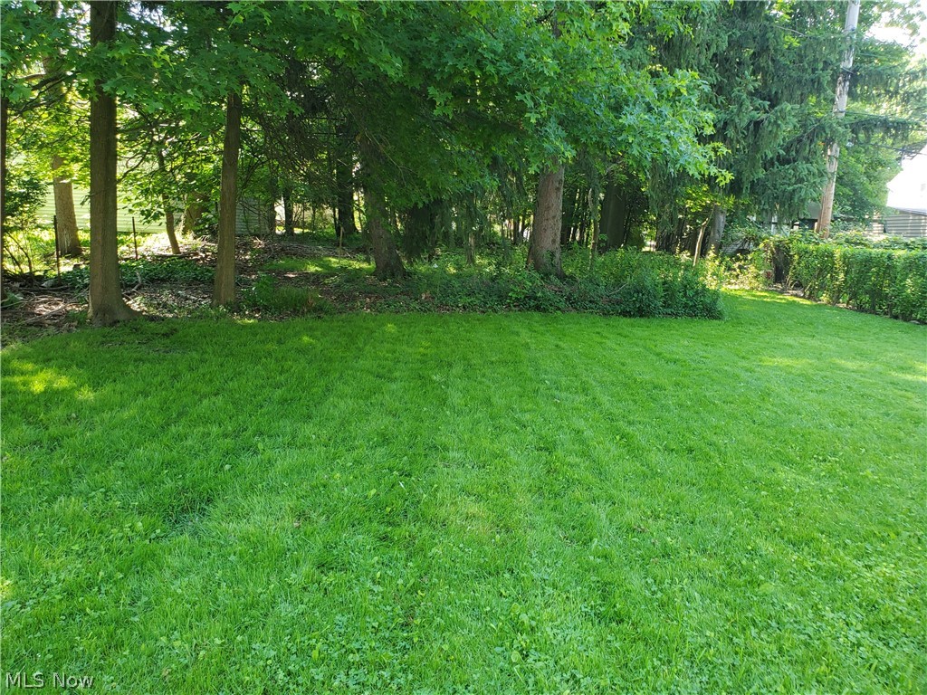 4024 Buxton Road Cleveland, OH 44121 - Photo 24 of 25 Woods in the back are part of the yard and provide additional privacy for this level yard.