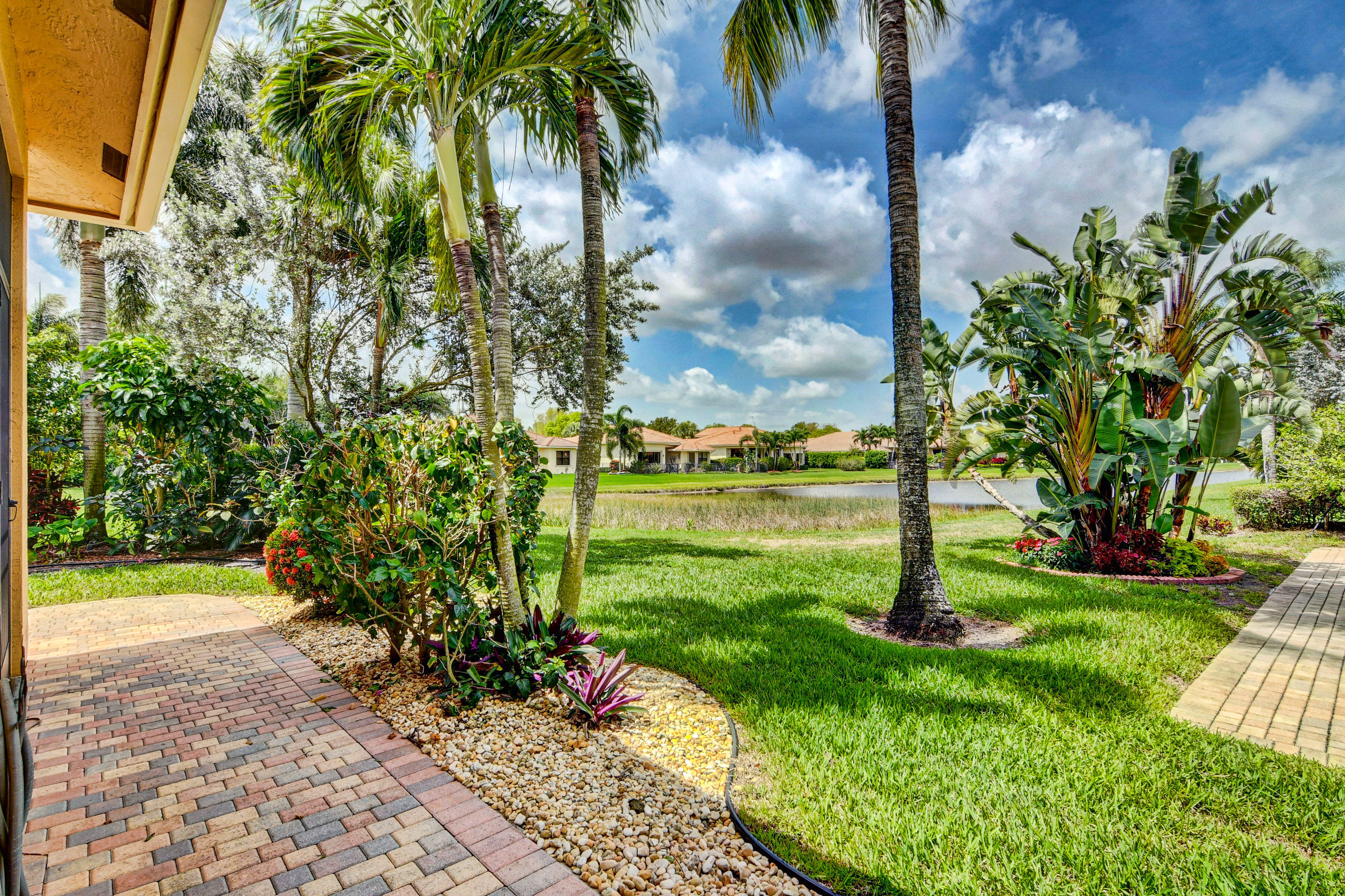 a view of a garden with a tree