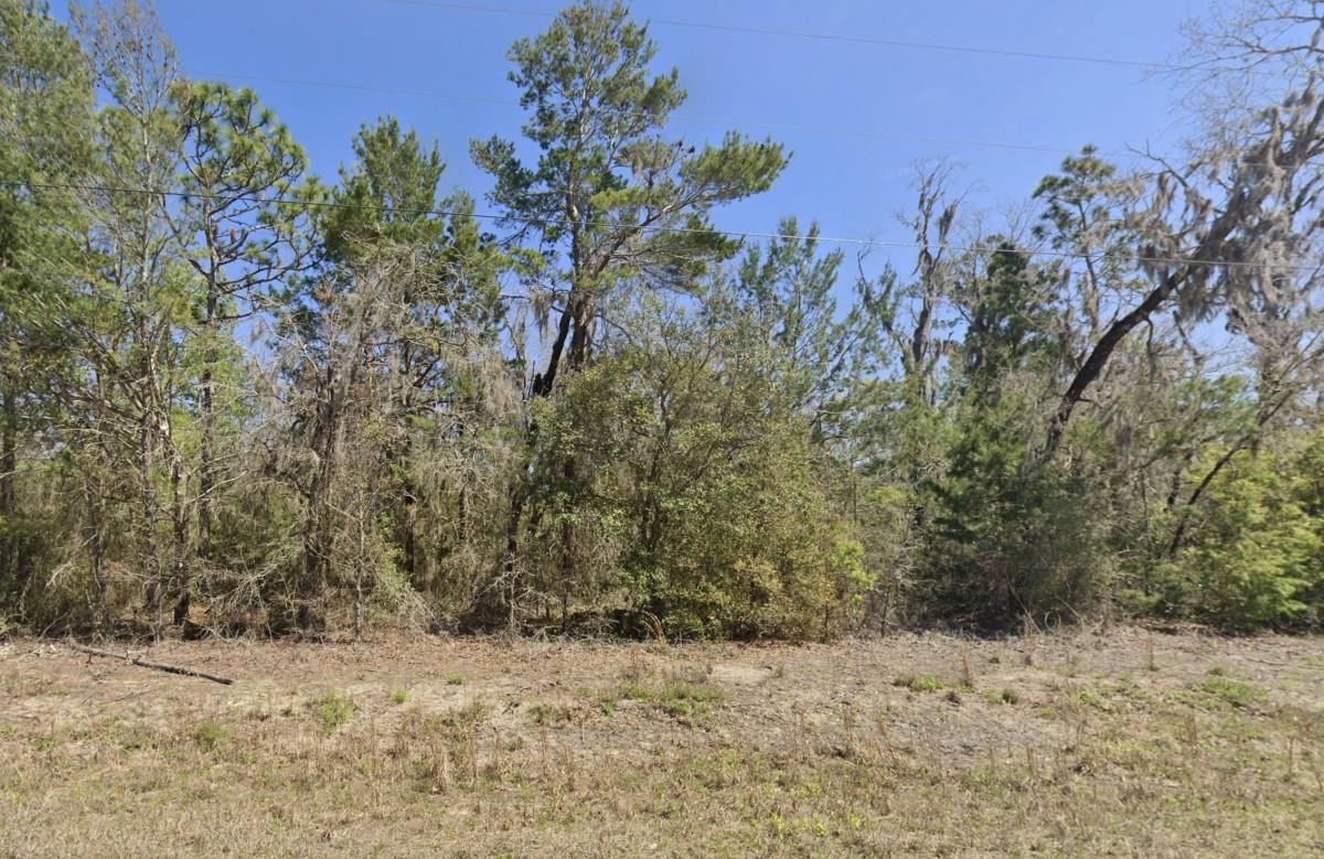 0 Shell Drive Perry, FL 32348 - Photo 4 of 5 Gallery Image 4