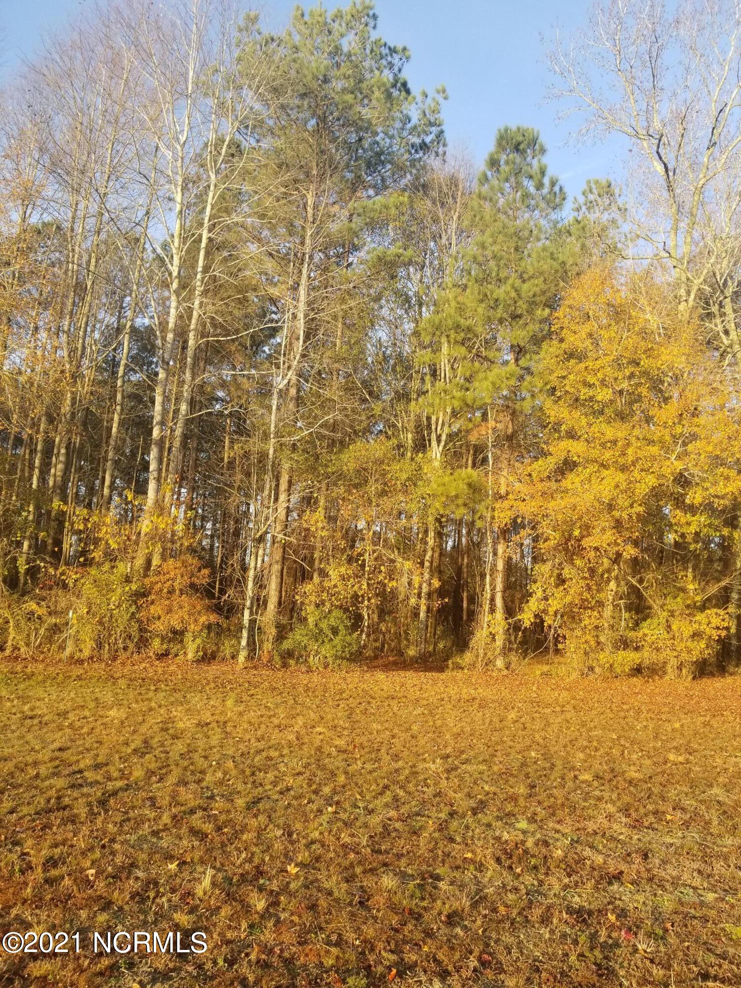 6178 Reedy Branch Road Winterville, NC 28590 - Photo 12 of 40 20211209_075623