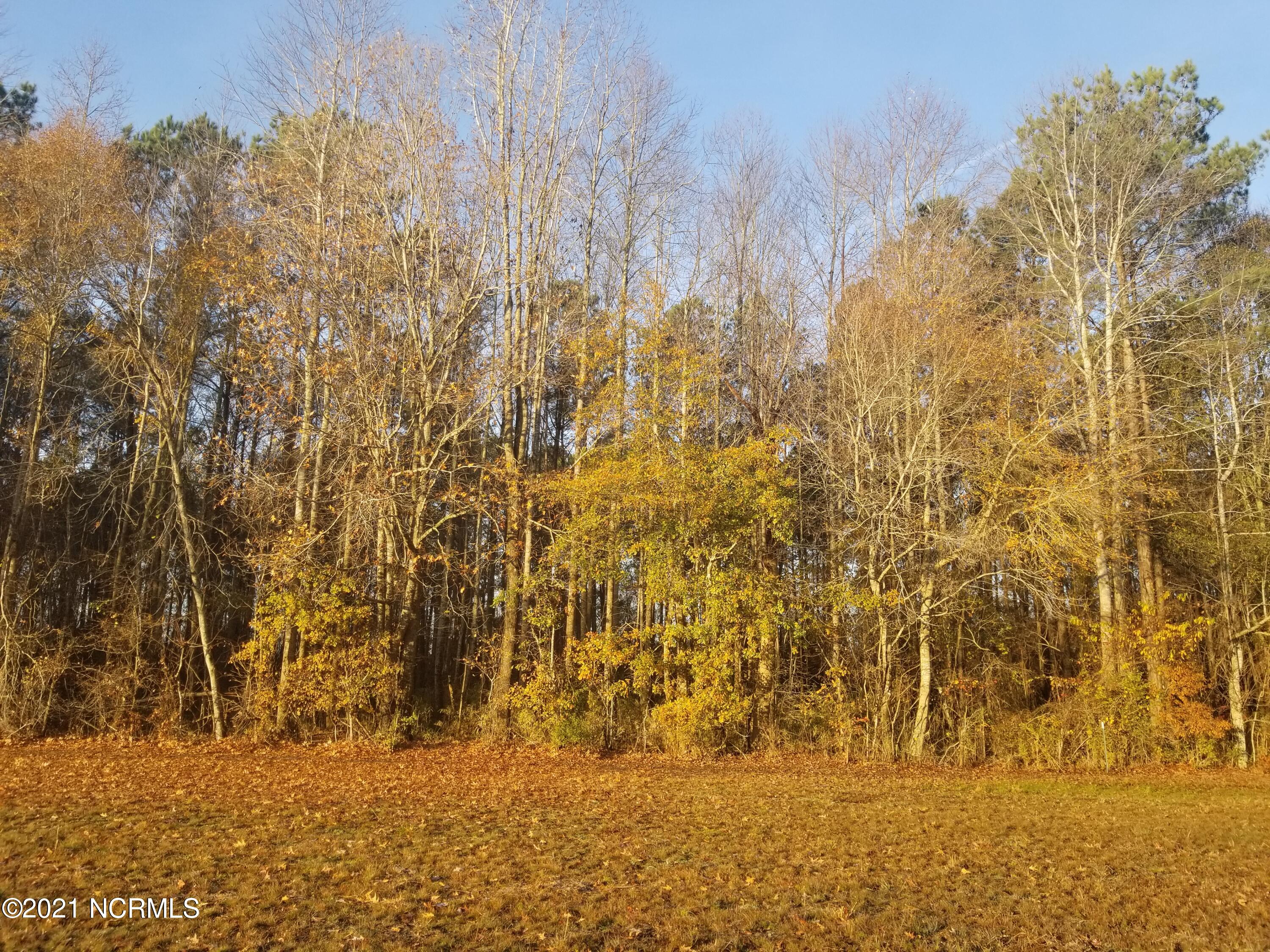 6178 Reedy Branch Road Winterville, NC 28590 - Photo 13 of 40 20211209_075558