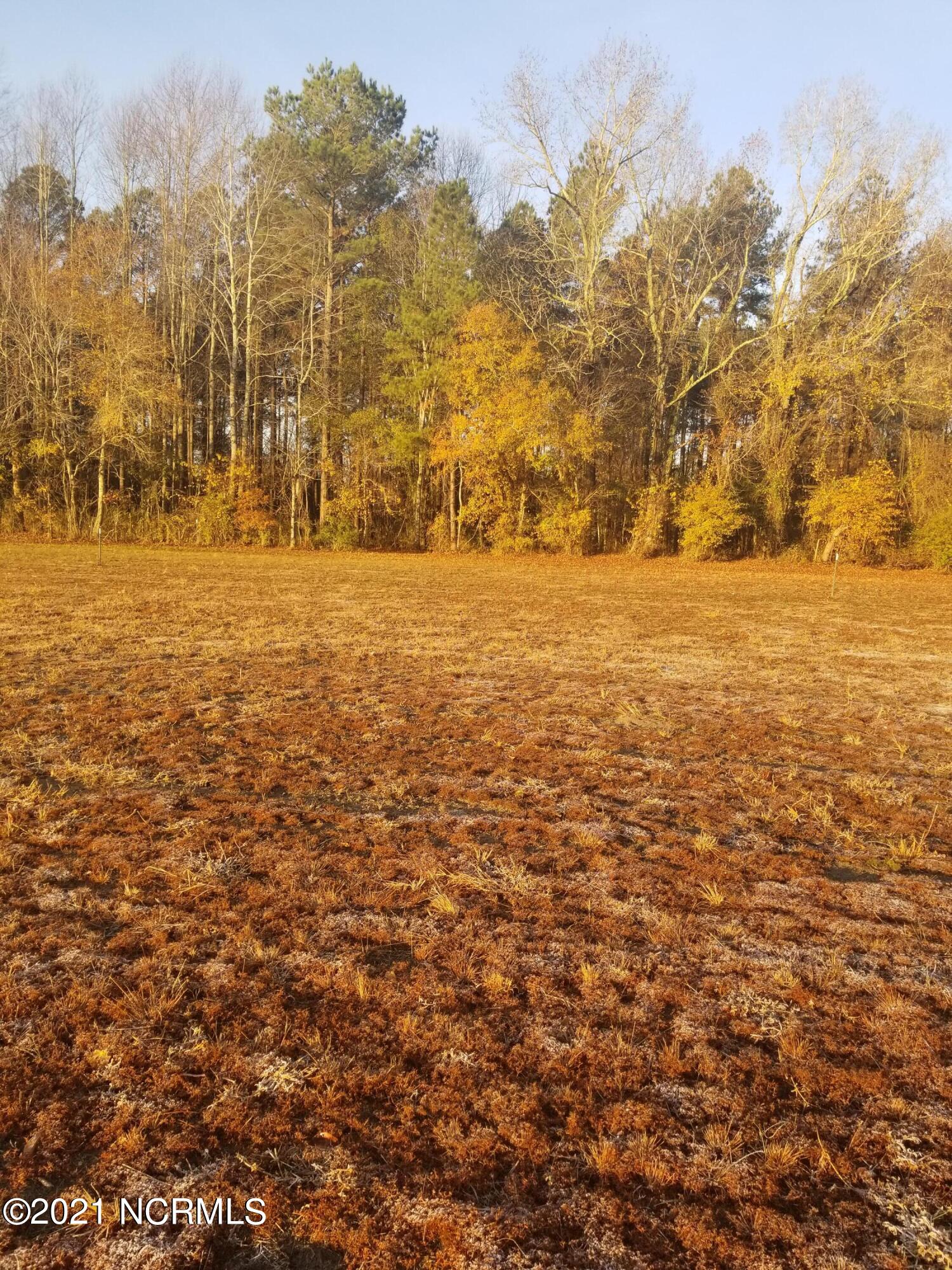 6178 Reedy Branch Road Winterville, NC 28590 - Photo 14 of 40 20211209_075121