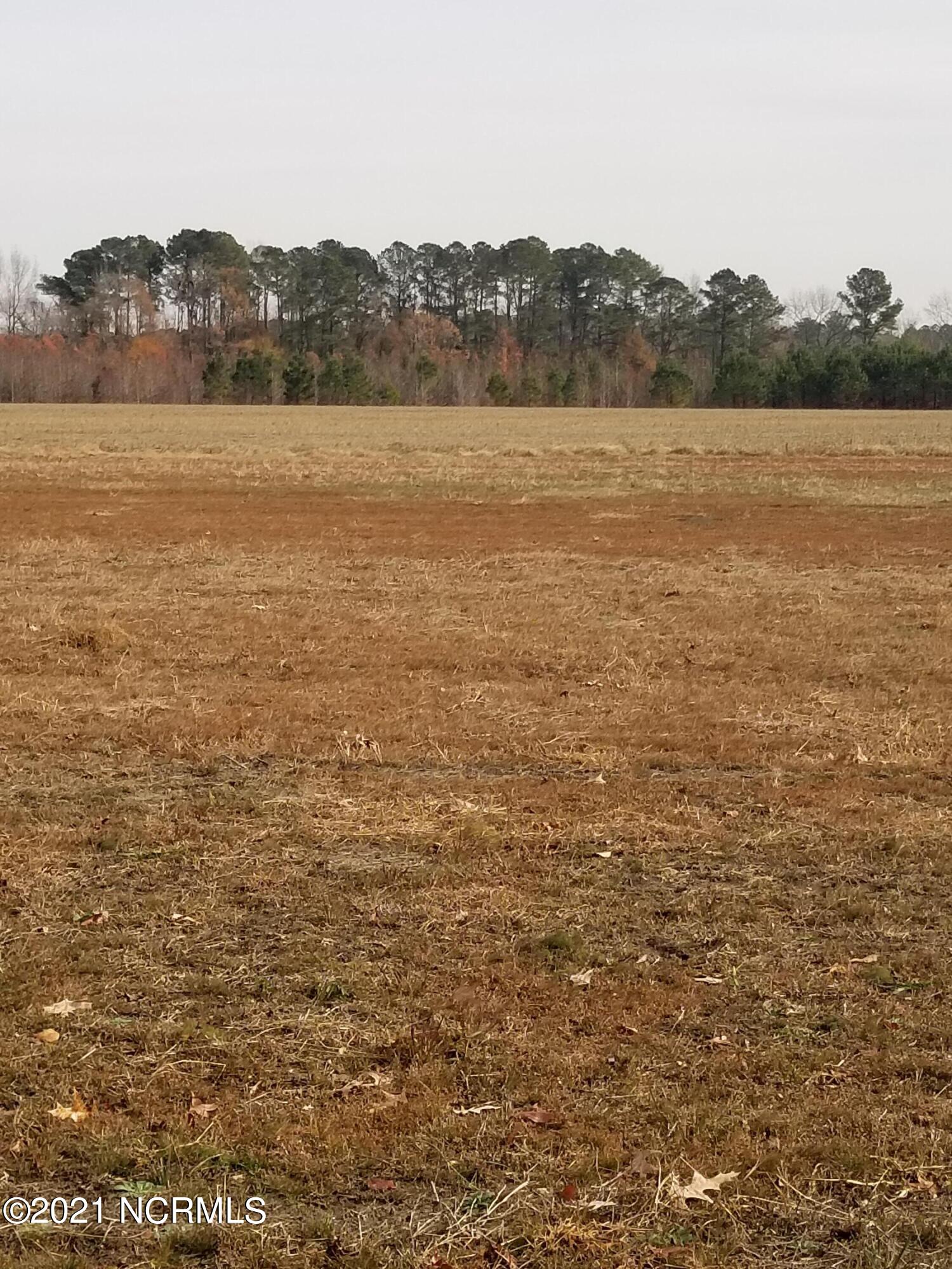 6178 Reedy Branch Road Winterville, NC 28590 - Photo 15 of 40 20211209_120811