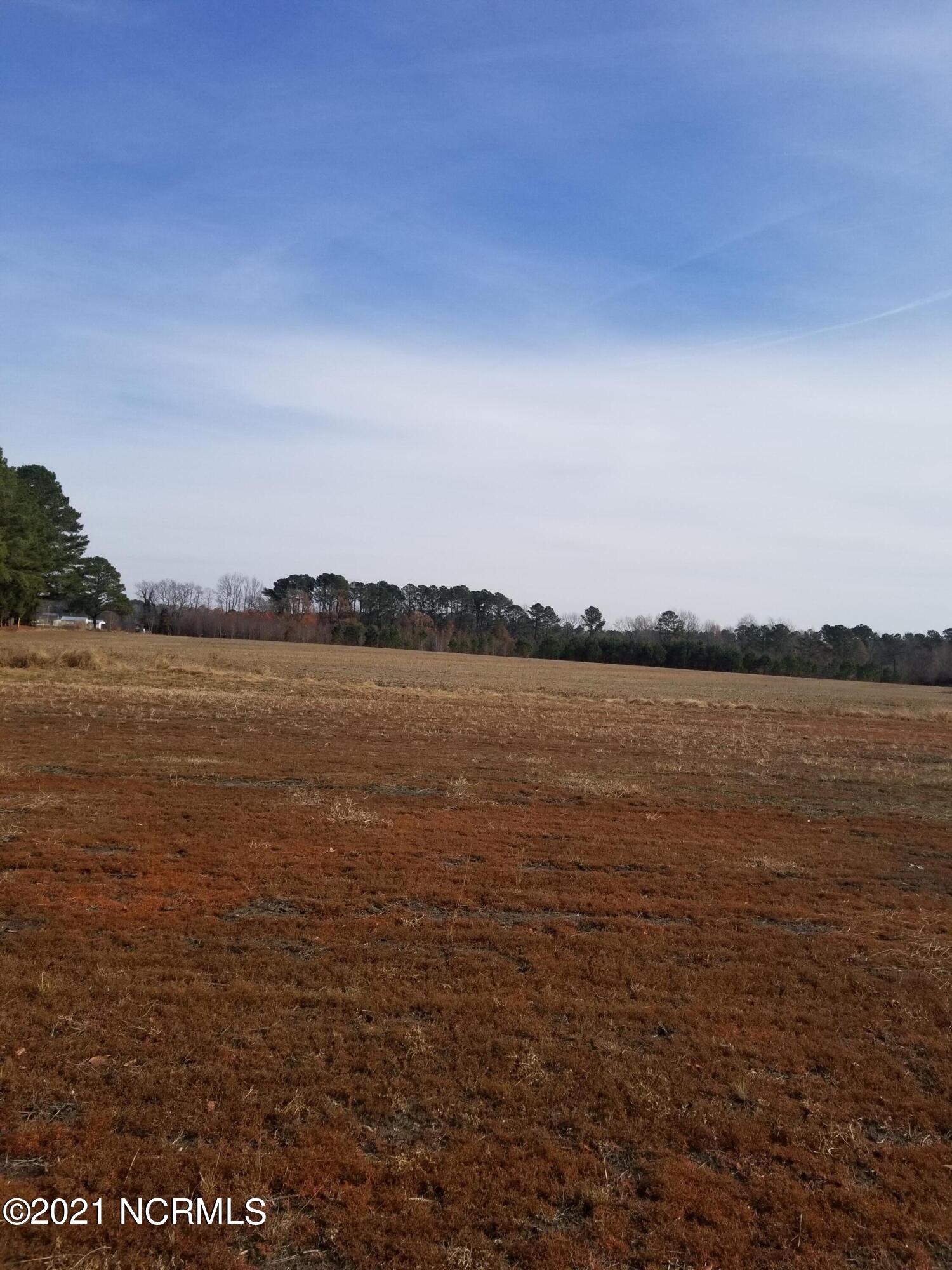 6178 Reedy Branch Road Winterville, NC 28590 - Photo 16 of 40 #2
