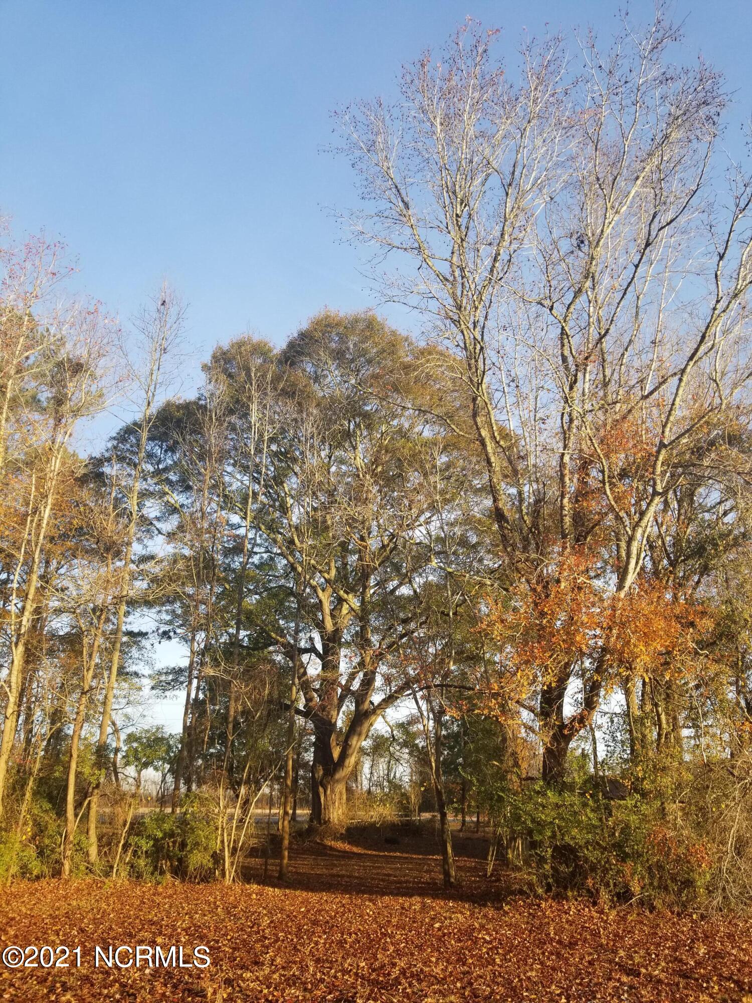 6178 Reedy Branch Road Winterville, NC 28590 - Photo 17 of 40 20211209_075712