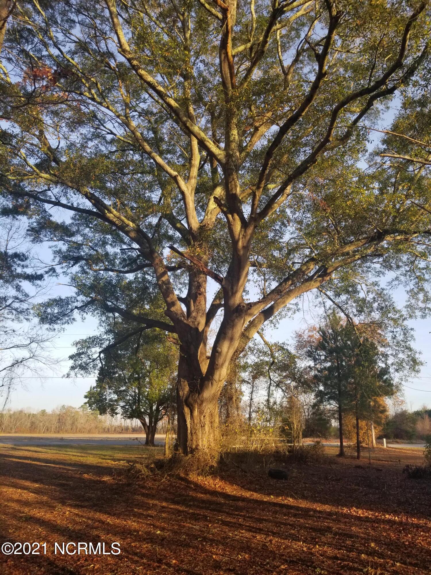 6178 Reedy Branch Road Winterville, NC 28590 - Photo 18 of 40 20211209_075752