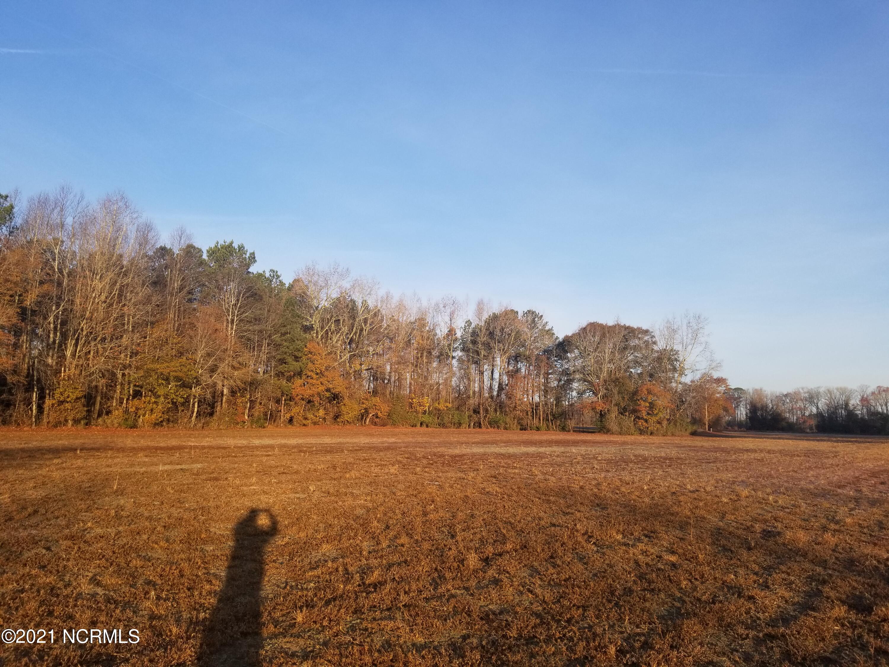 6178 Reedy Branch Road Winterville, NC 28590 - Photo 19 of 40 20211209_075416