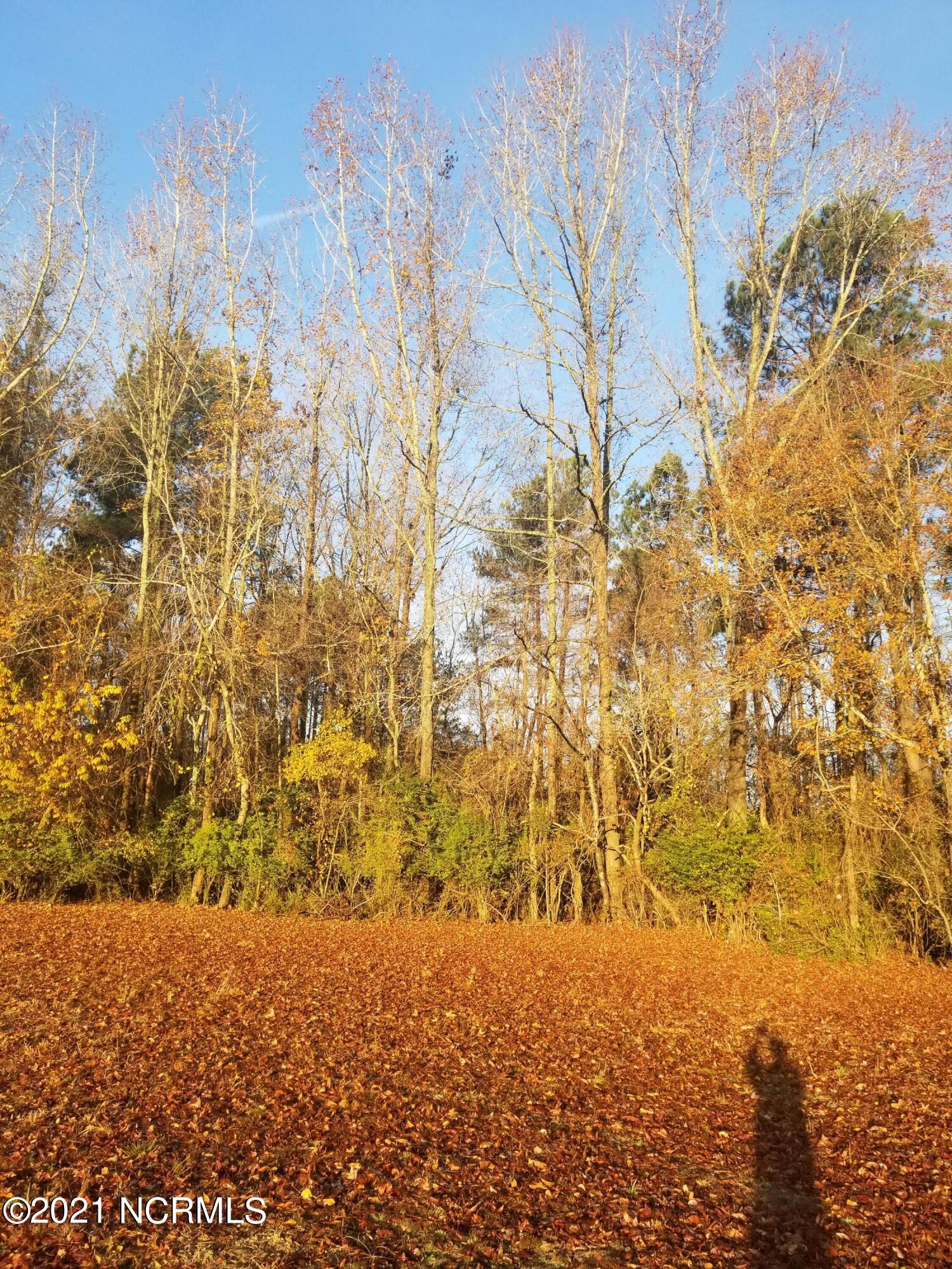 6178 Reedy Branch Road Winterville, NC 28590 - Photo 20 of 40 20211209_075719