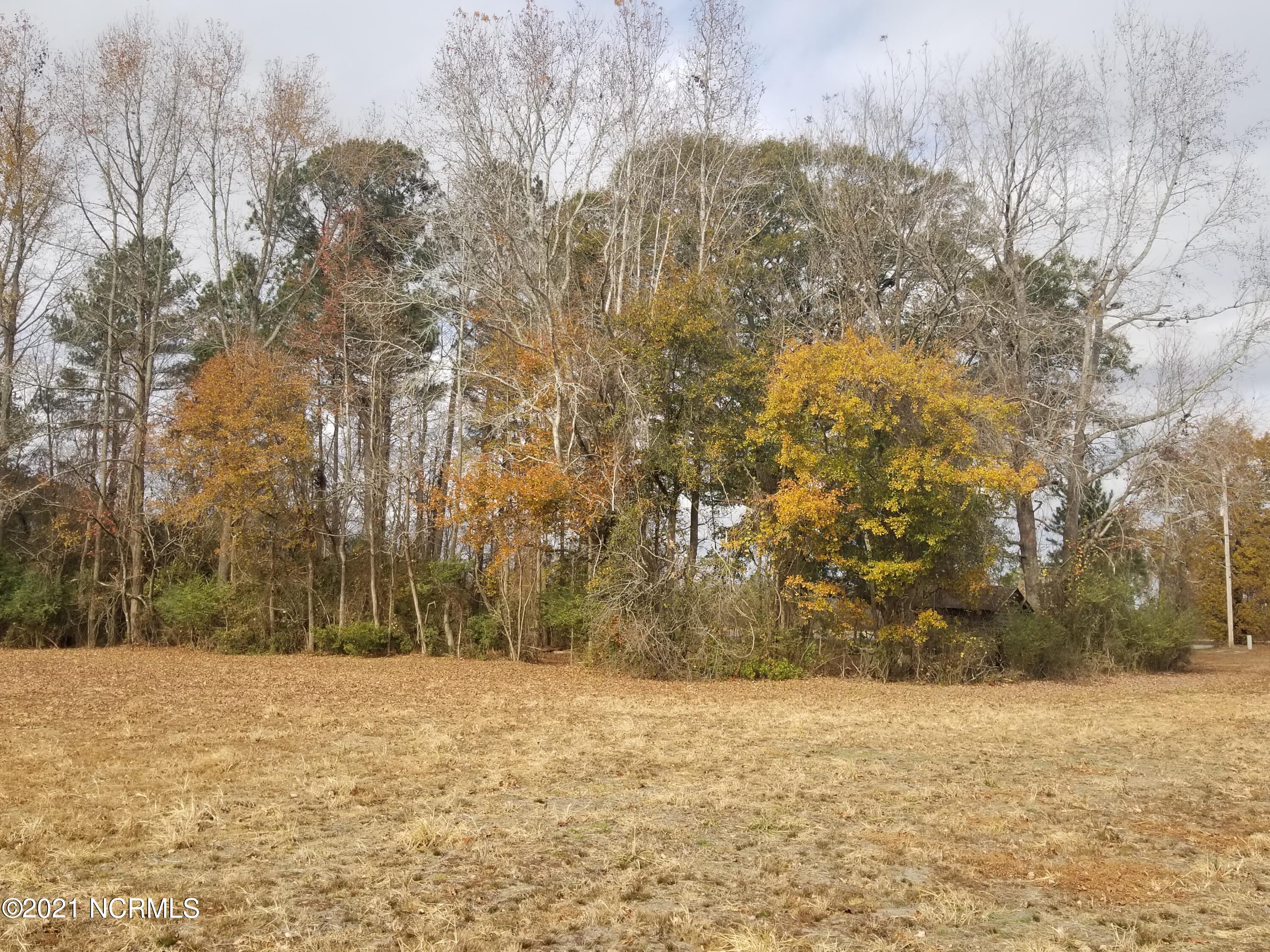 6178 Reedy Branch Road Winterville, NC 28590 - Photo 23 of 40 #1
