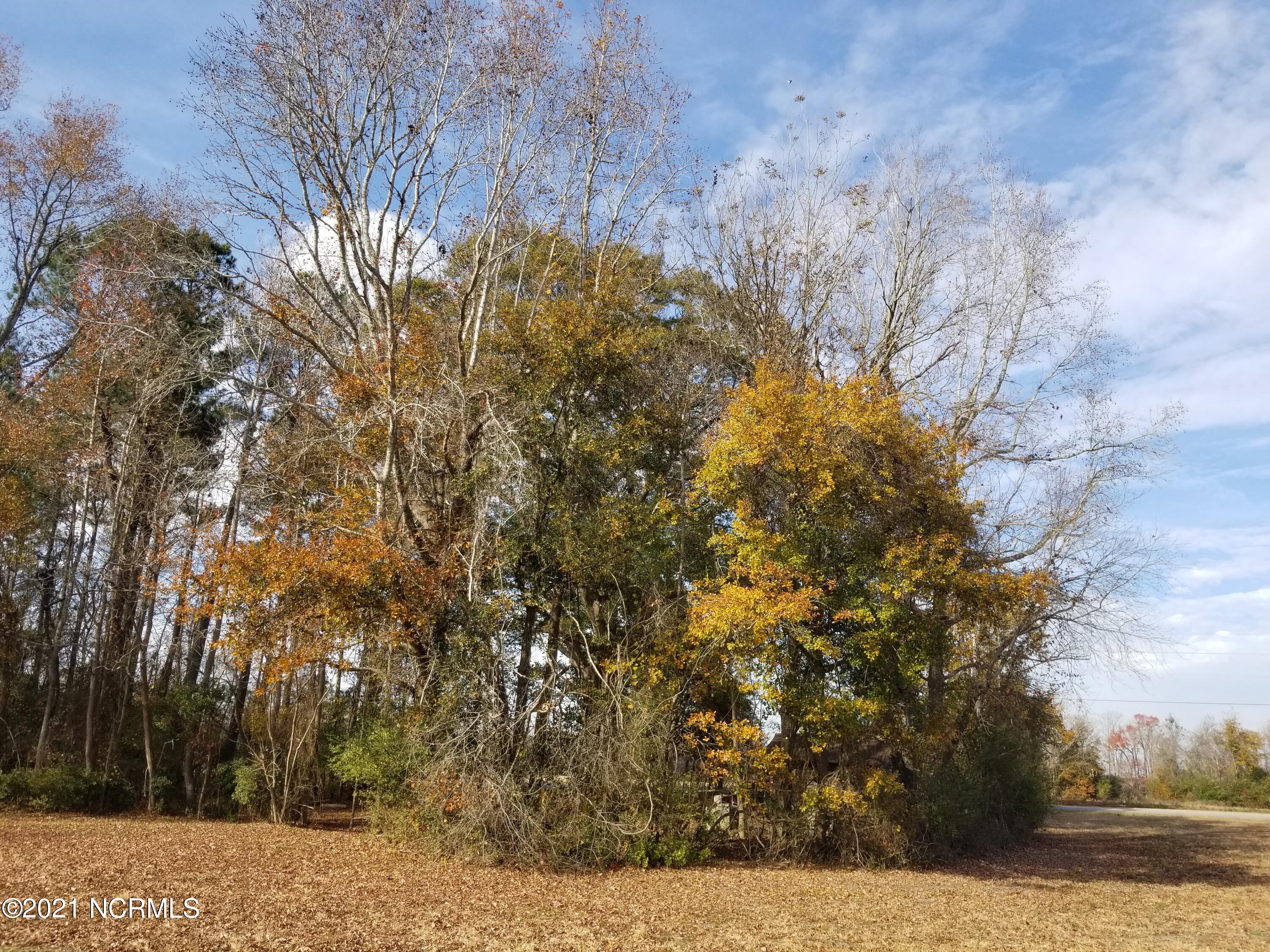 6178 Reedy Branch Road Winterville, NC 28590 - Photo 24 of 40 #1