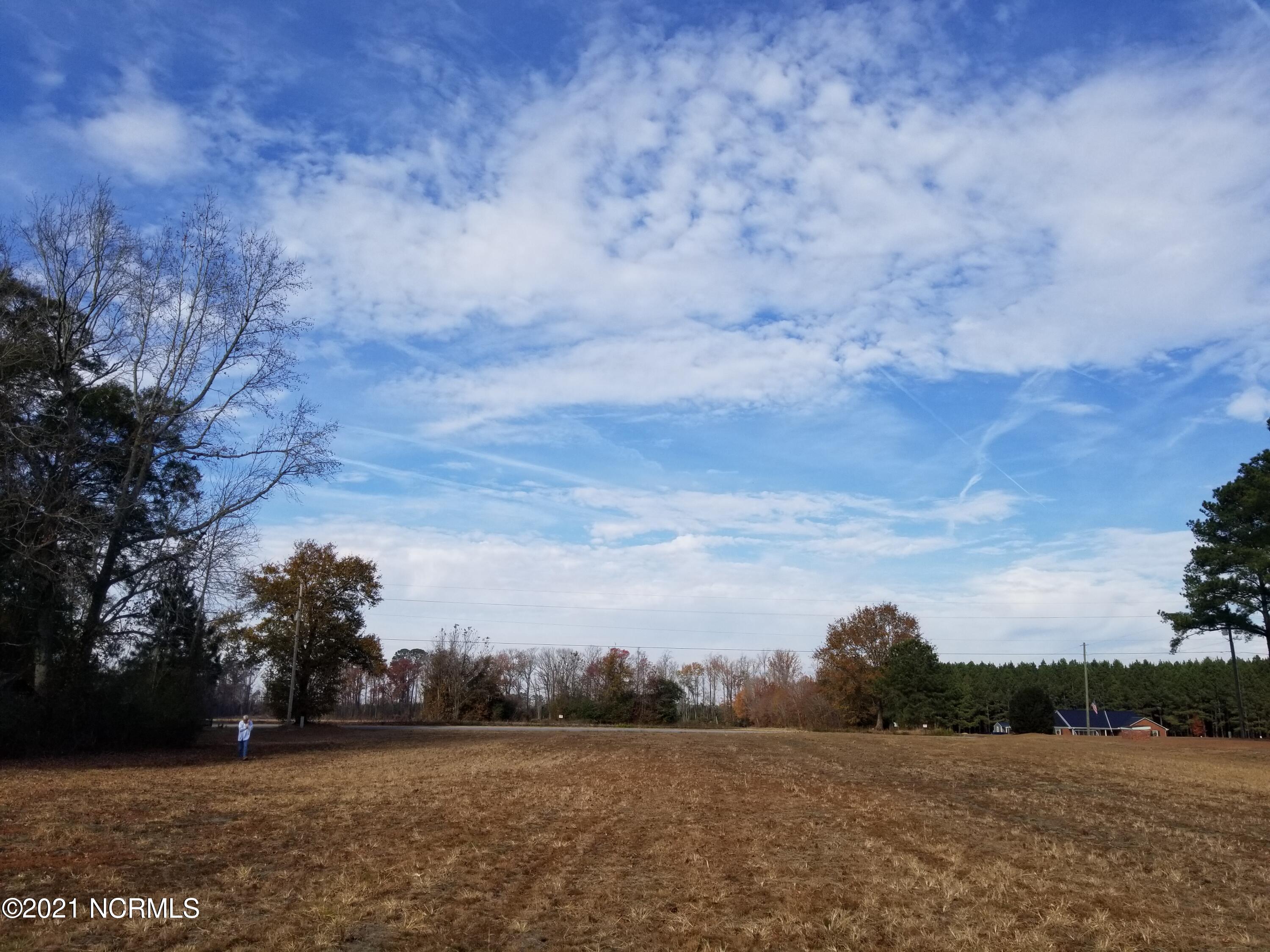 6178 Reedy Branch Road Winterville, NC 28590 - Photo 27 of 40 #2