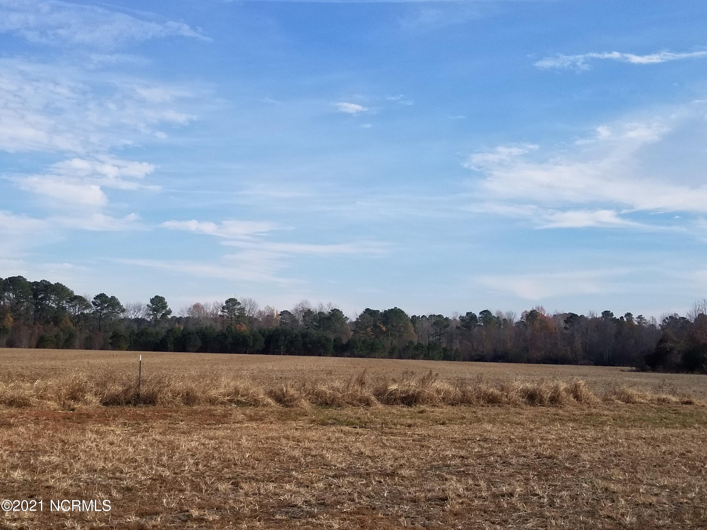 6178 Reedy Branch Road Winterville, NC 28590 - Photo 28 of 40 #2