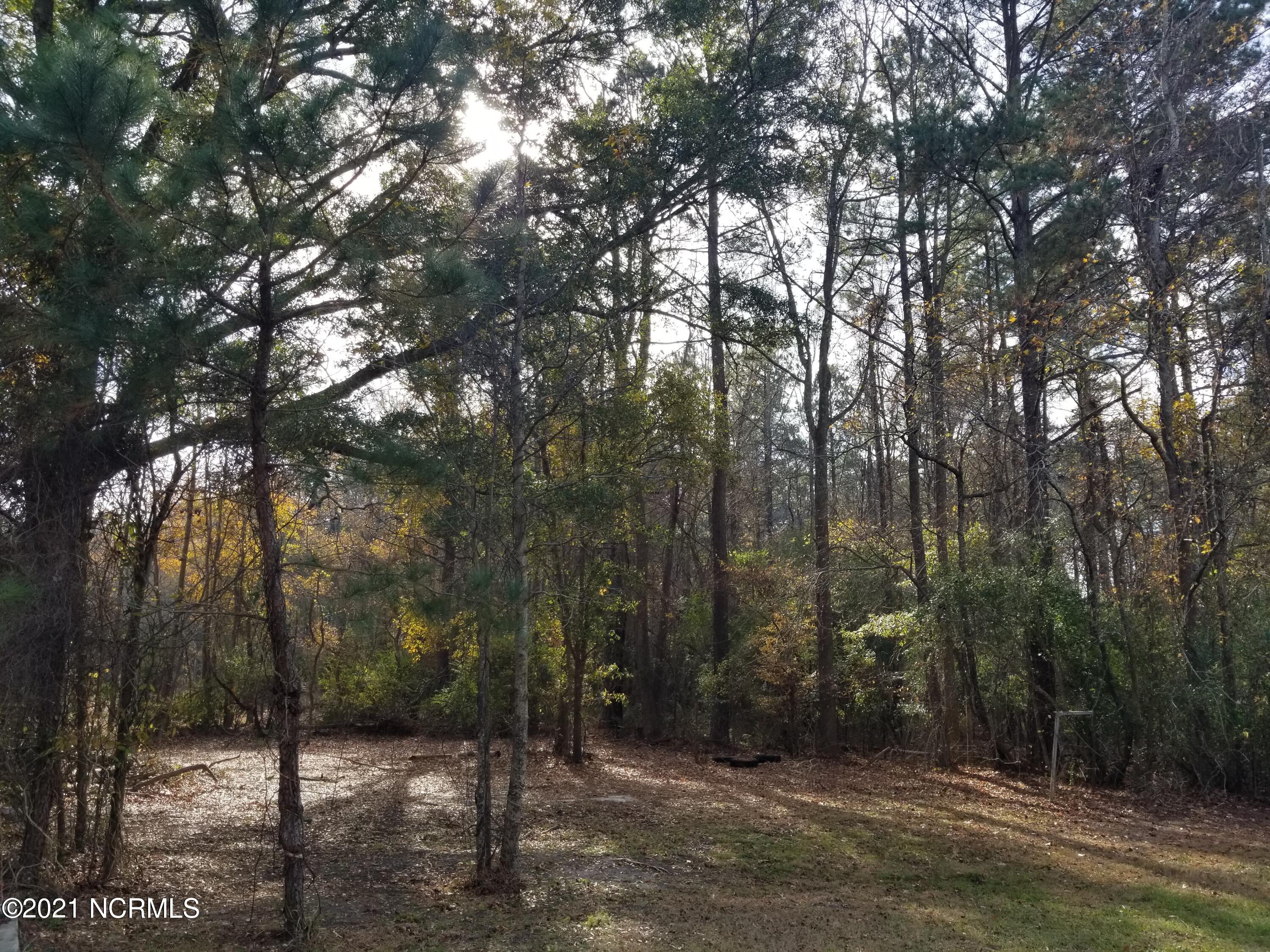 6178 Reedy Branch Road Winterville, NC 28590 - Photo 29 of 40 #1