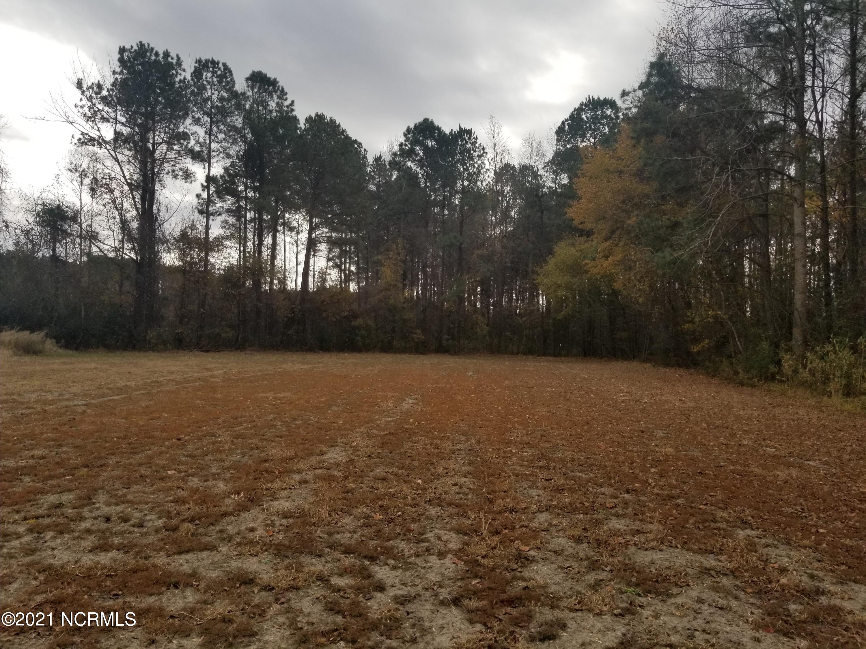 6178 Reedy Branch Road Winterville, NC 28590 - Photo 31 of 40 #3 homsite