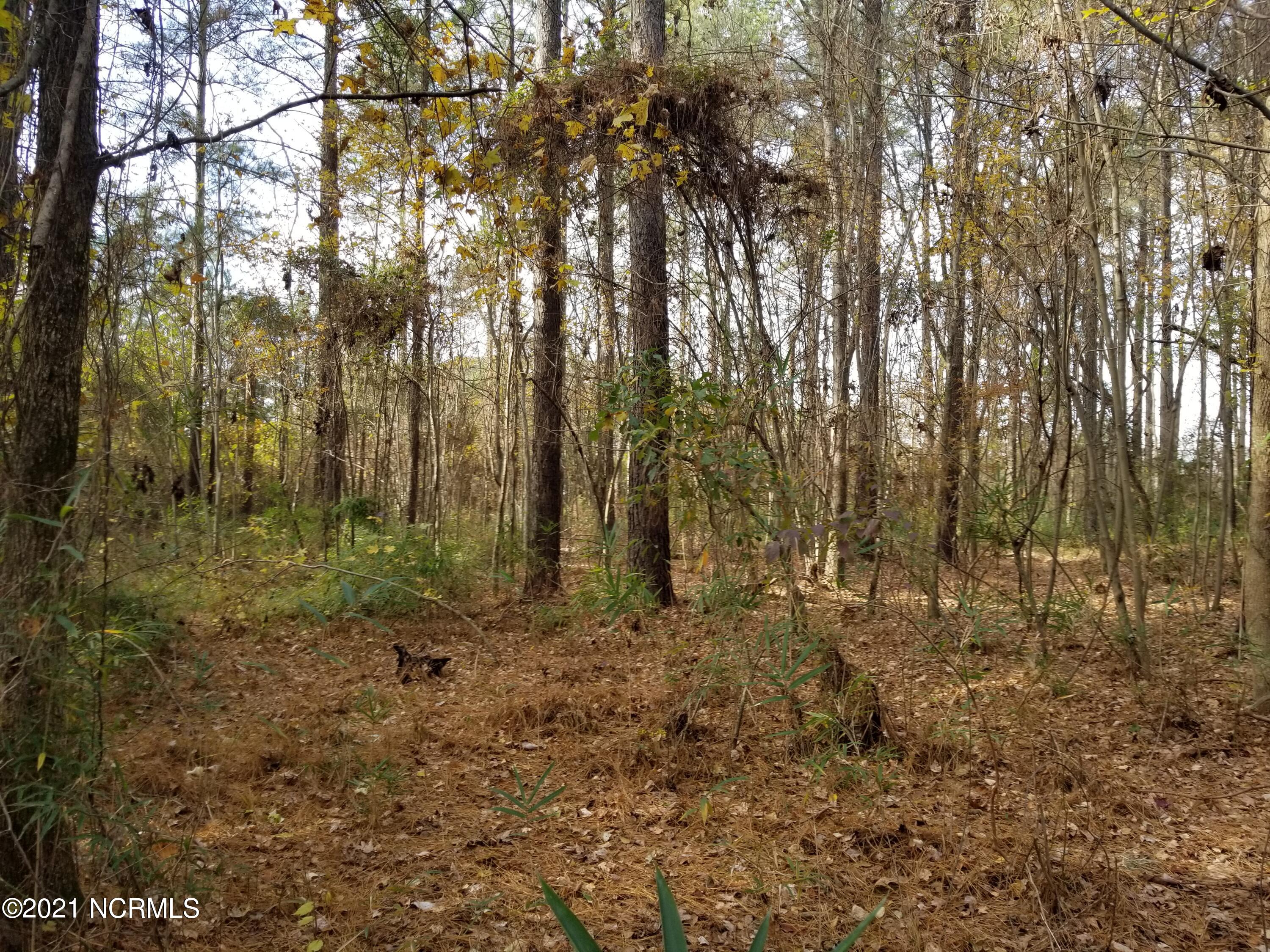 6178 Reedy Branch Road Winterville, NC 28590 - Photo 32 of 40 #3 homesite