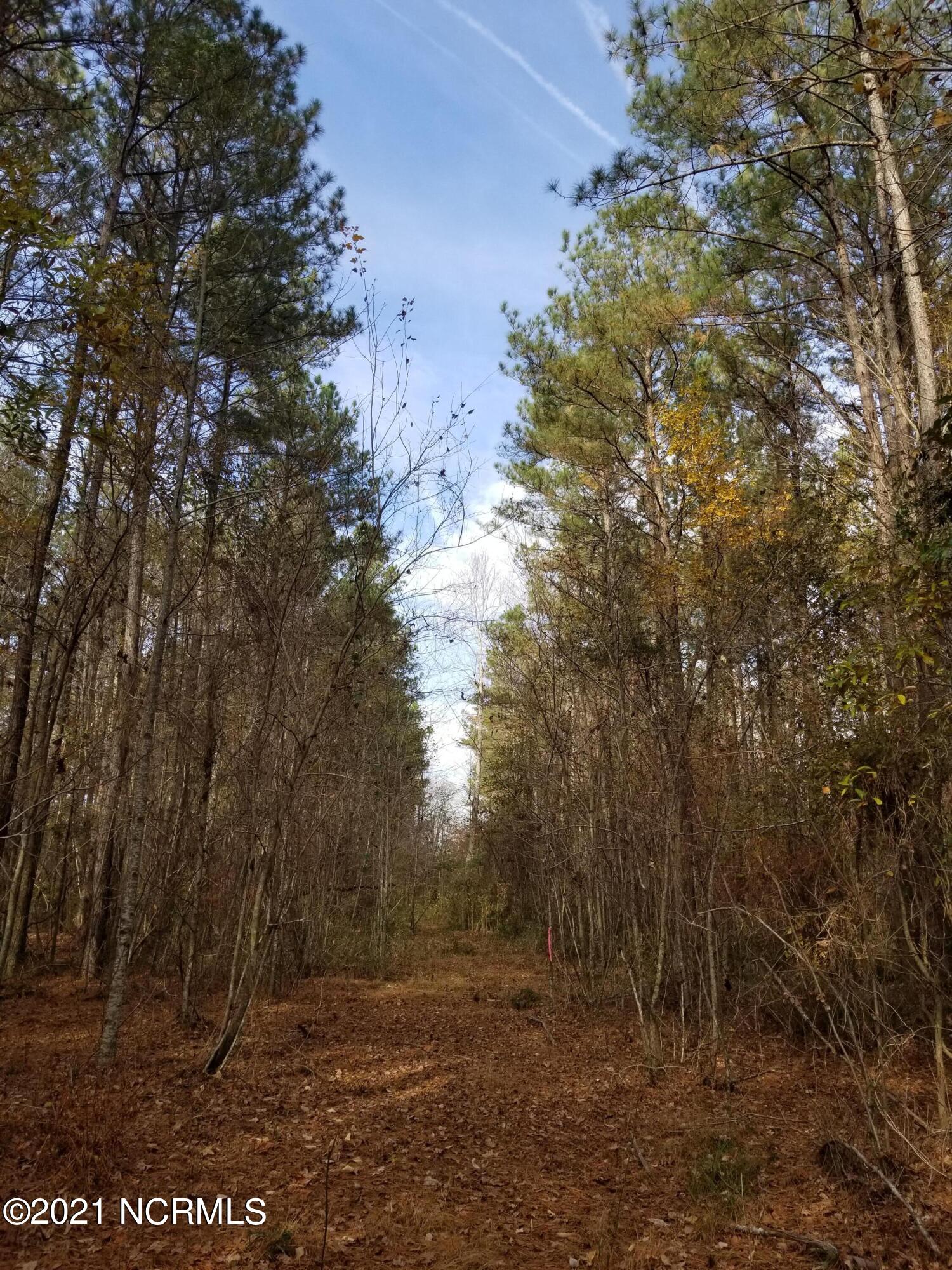 6178 Reedy Branch Road Winterville, NC 28590 - Photo 33 of 40 20211204_133141