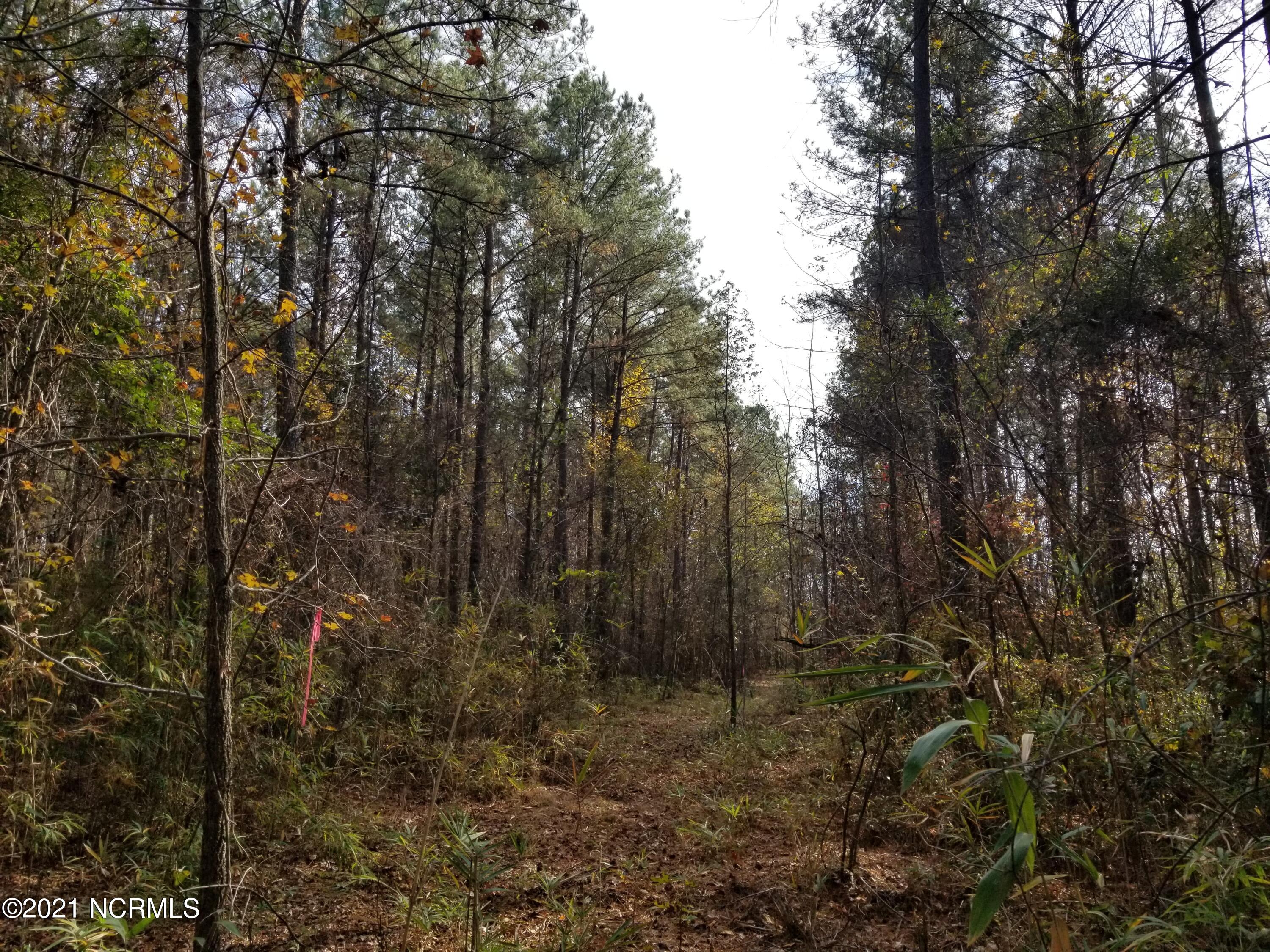 6178 Reedy Branch Road Winterville, NC 28590 - Photo 34 of 40 #3