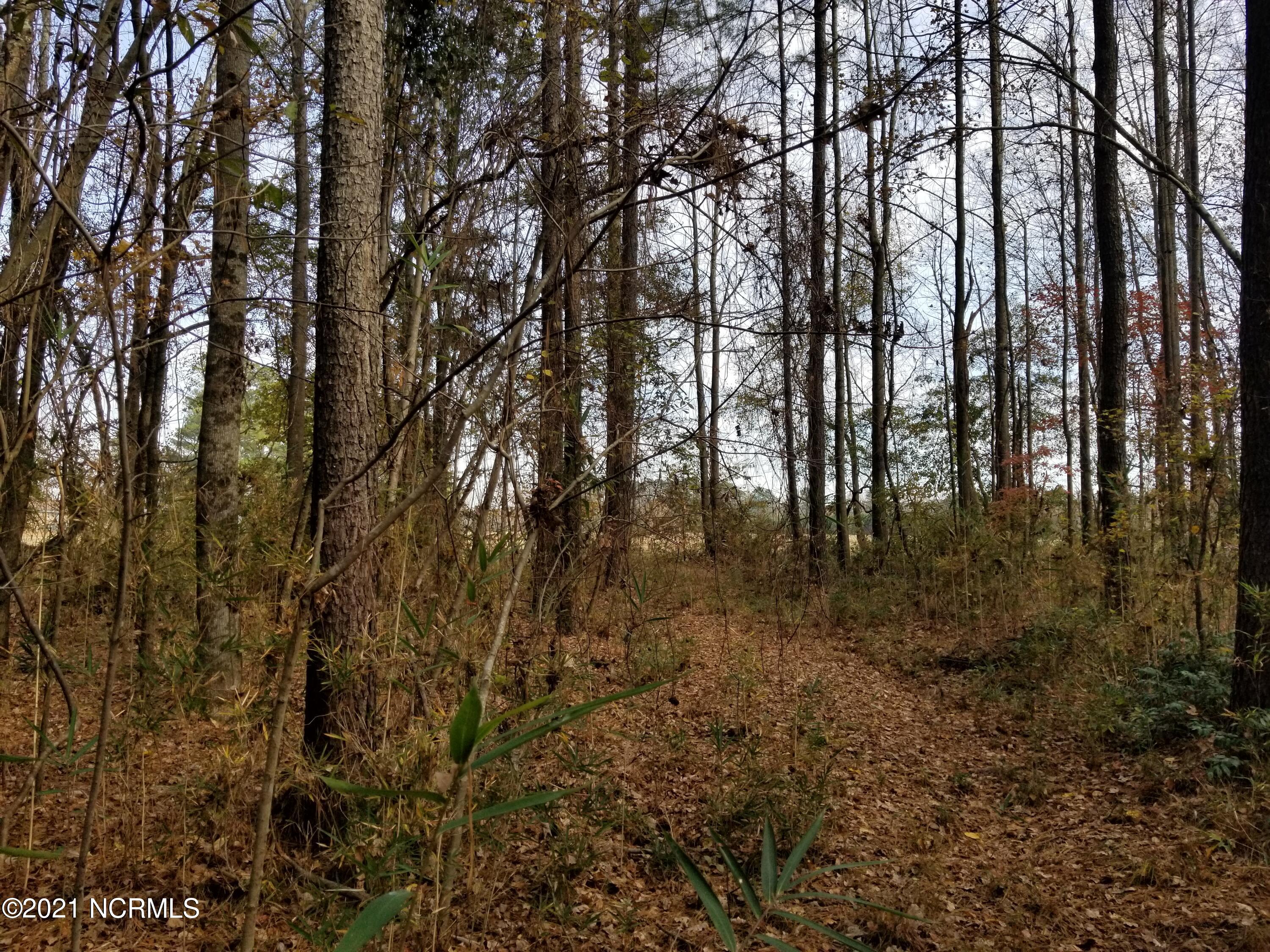 6178 Reedy Branch Road Winterville, NC 28590 - Photo 36 of 40 #3