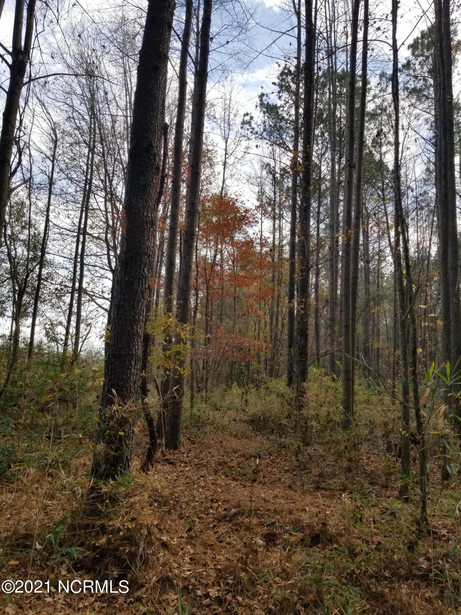 6178 Reedy Branch Road Winterville, NC 28590 - Photo 37 of 40 20211204_134129