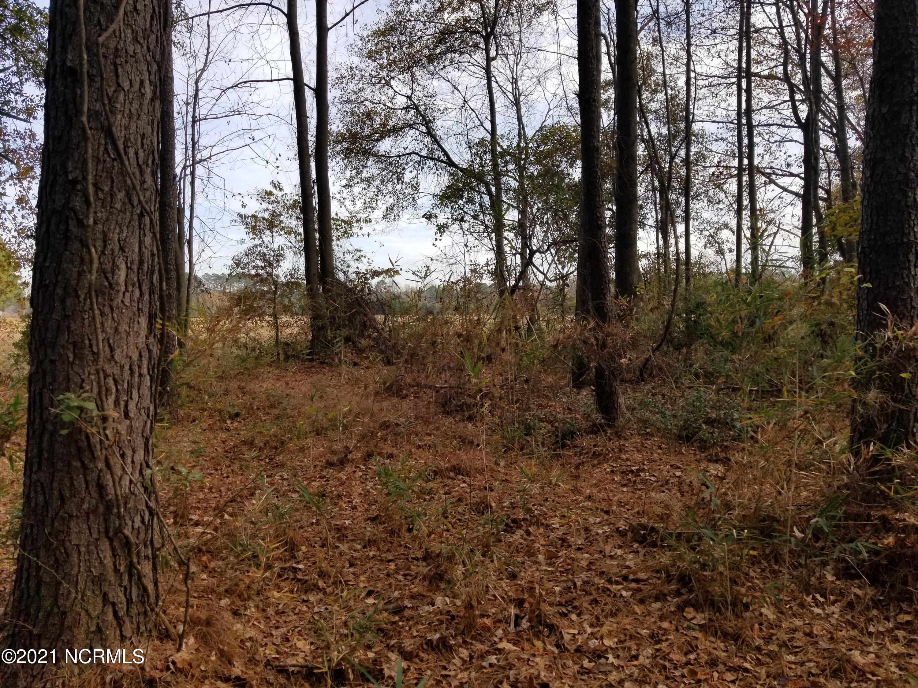 6178 Reedy Branch Road Winterville, NC 28590 - Photo 38 of 40 #3