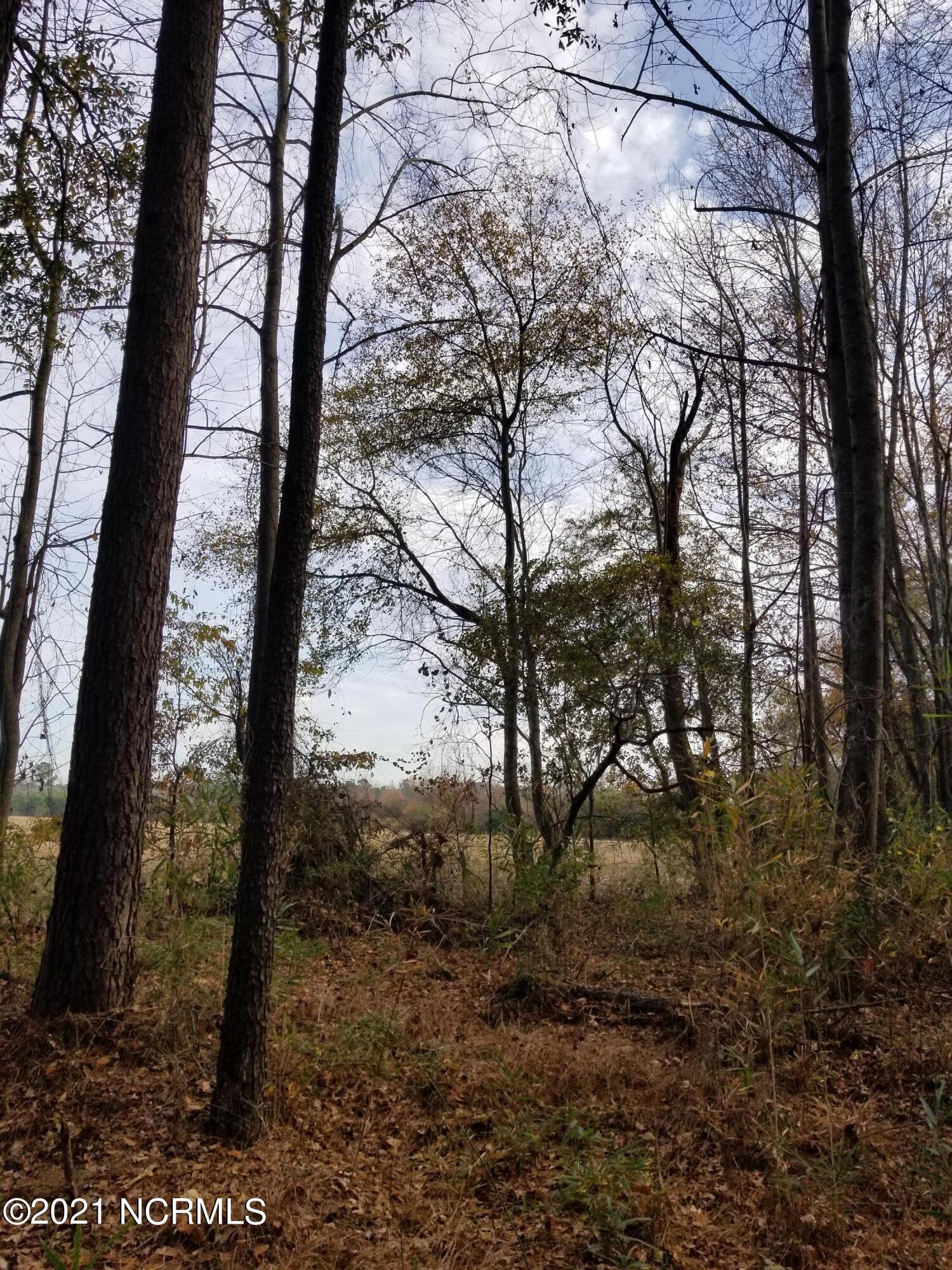 6178 Reedy Branch Road Winterville, NC 28590 - Photo 39 of 40 20211204_134207