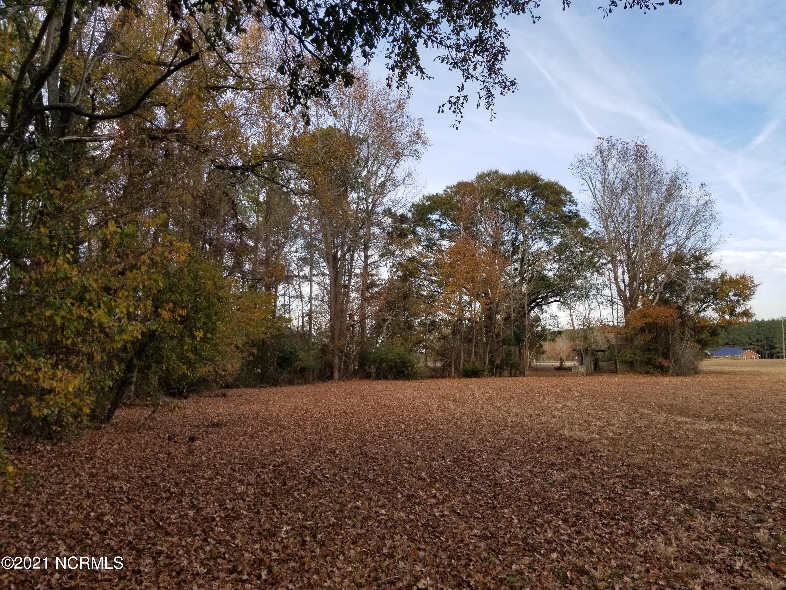 6178 Reedy Branch Road Winterville, NC 28590 - Photo 9 of 40 #2