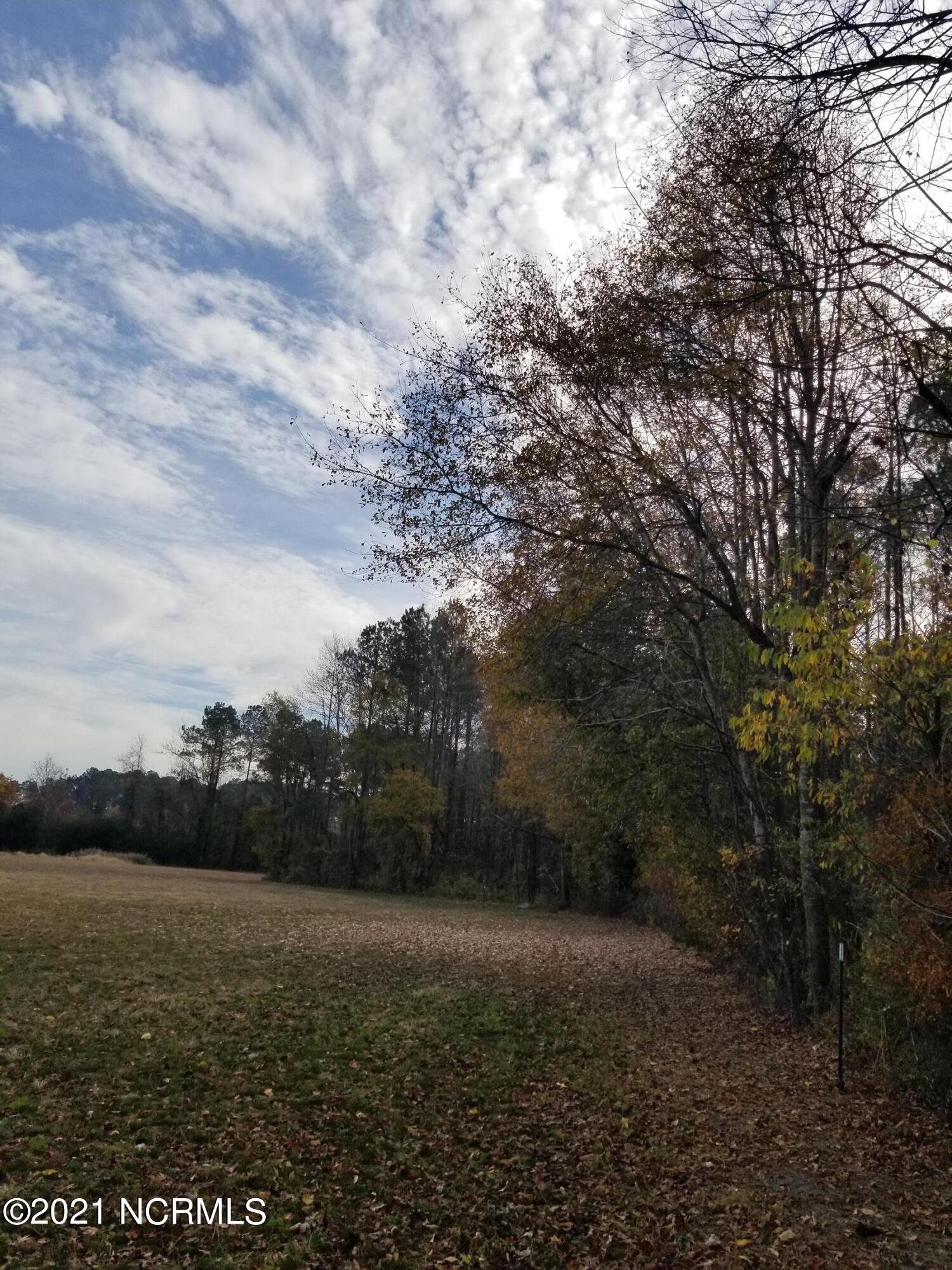 6178 Reedy Branch Road Winterville, NC 28590 - Photo 10 of 40 #2