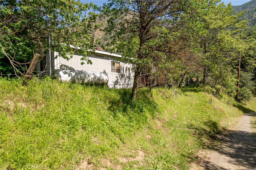 10049 Incline Road El Portal, CA 95318 - Photo 34 of 44 a view of a yard with plants and large trees