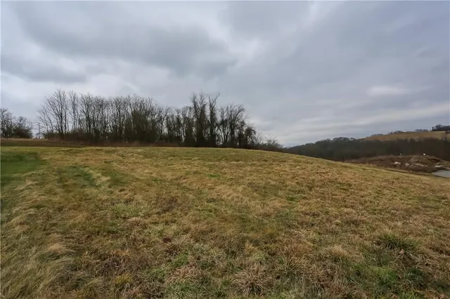 a view of a field with trees in background