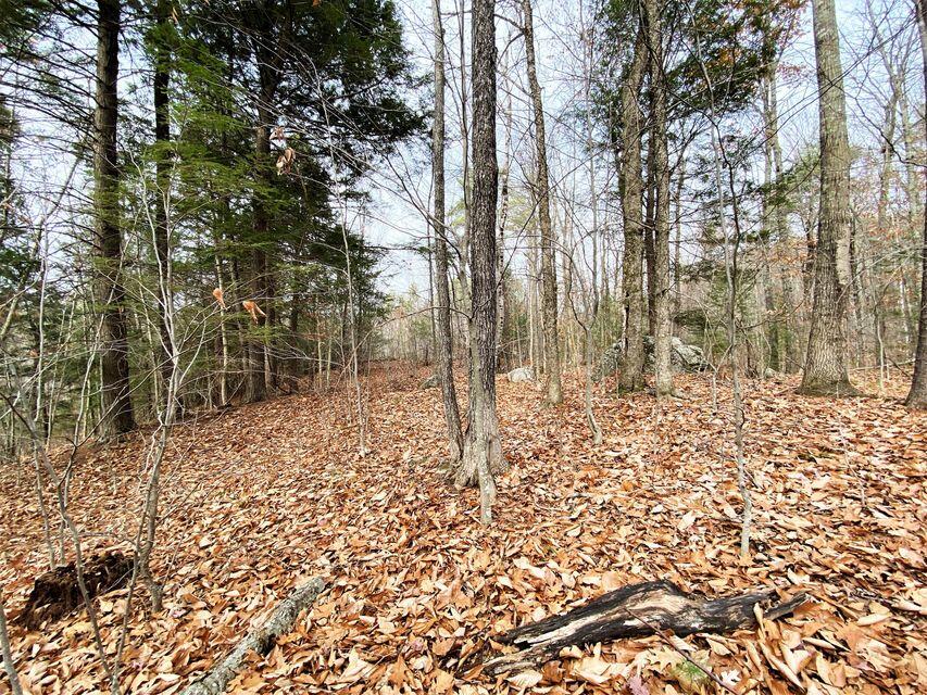 0 Libby Road, Unit LOT #9 West Newfield, ME 04095 - Photo 10 of 15 10