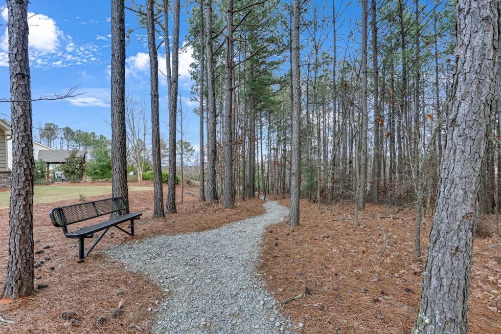 1598 Auburn Rdg Way Dacula, GA 30019 - Photo 26 of 34 a backyard of a house with table and chairs