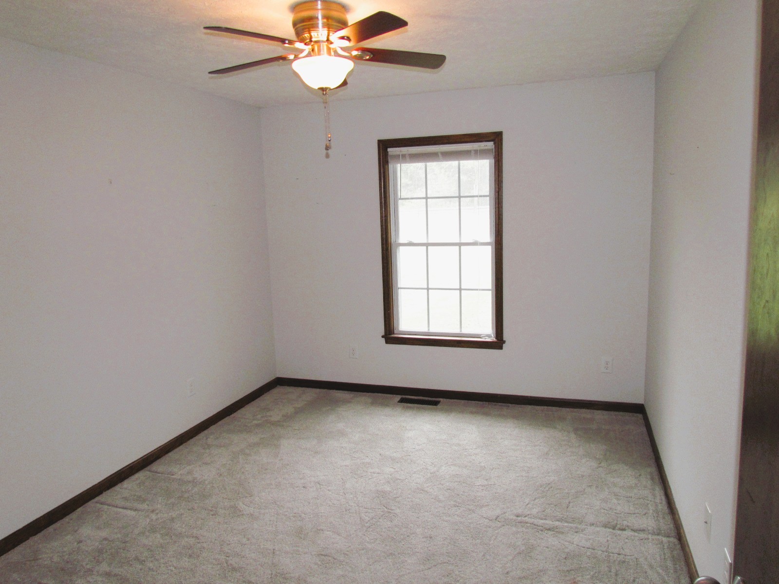 1266 Poplar Hill Road Watertown, TN 37184 - Photo 19 of 59 an empty room with windows and fan