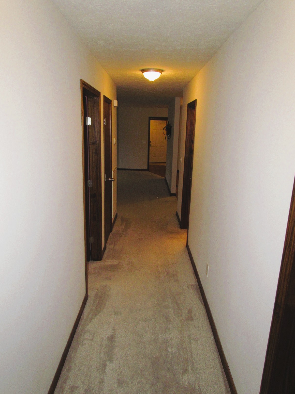 1266 Poplar Hill Road Watertown, TN 37184 - Photo 28 of 59