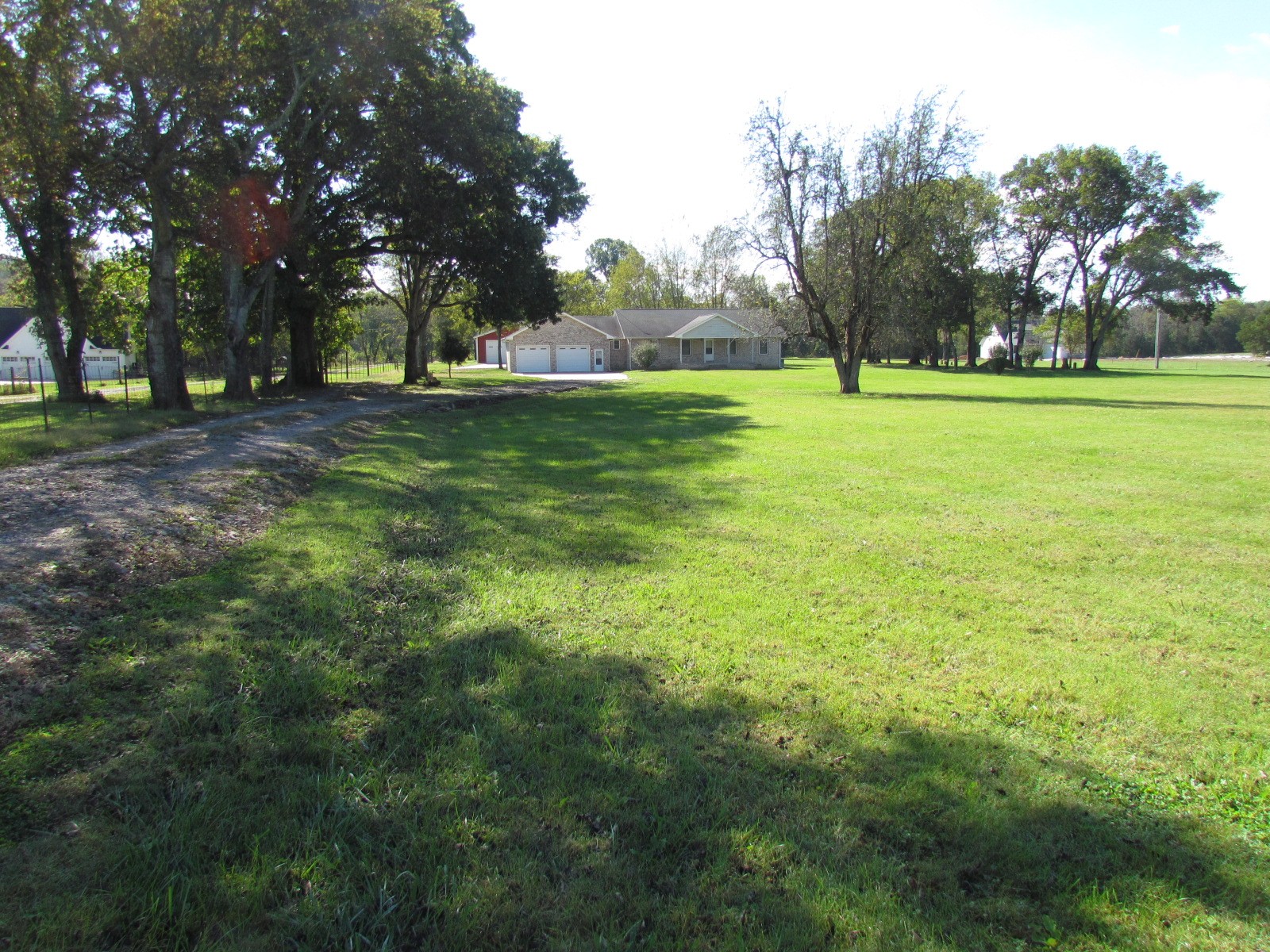 1266 Poplar Hill Road Watertown, TN 37184 - Photo 39 of 59 a backyard of a house with lots of green space and trees