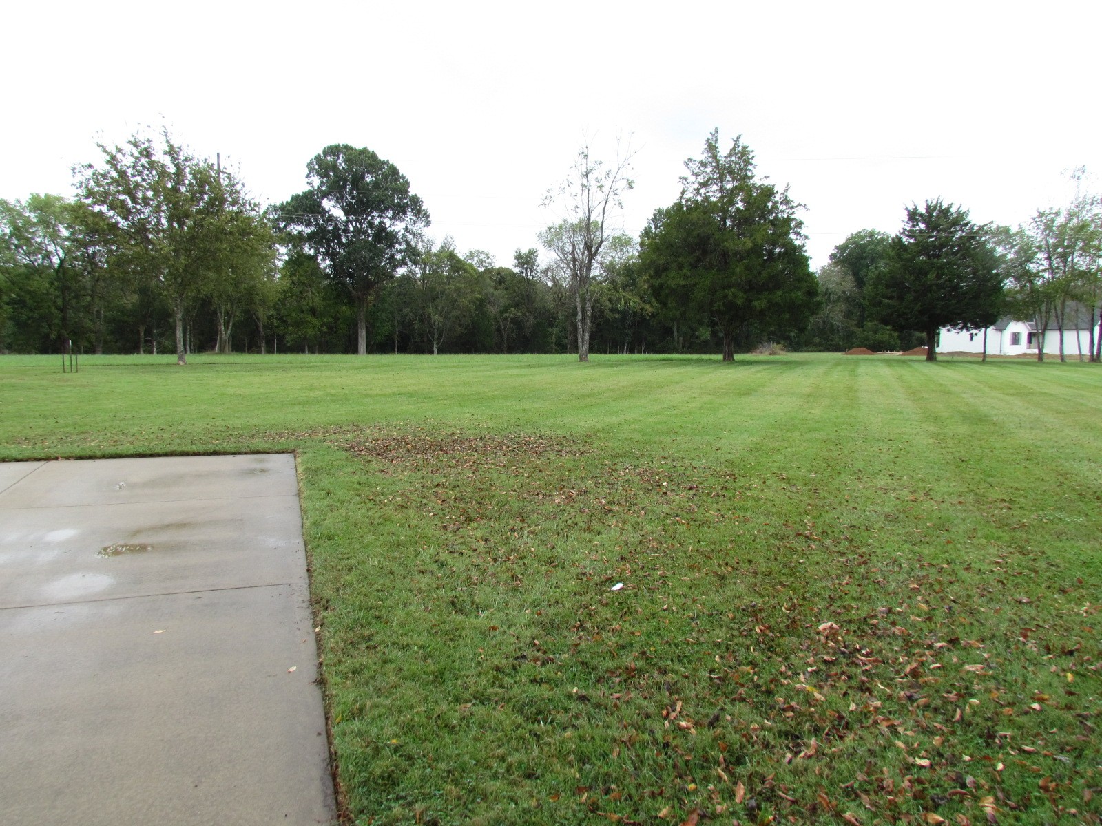 1266 Poplar Hill Road Watertown, TN 37184 - Photo 41 of 59 a view of a field of grass and trees
