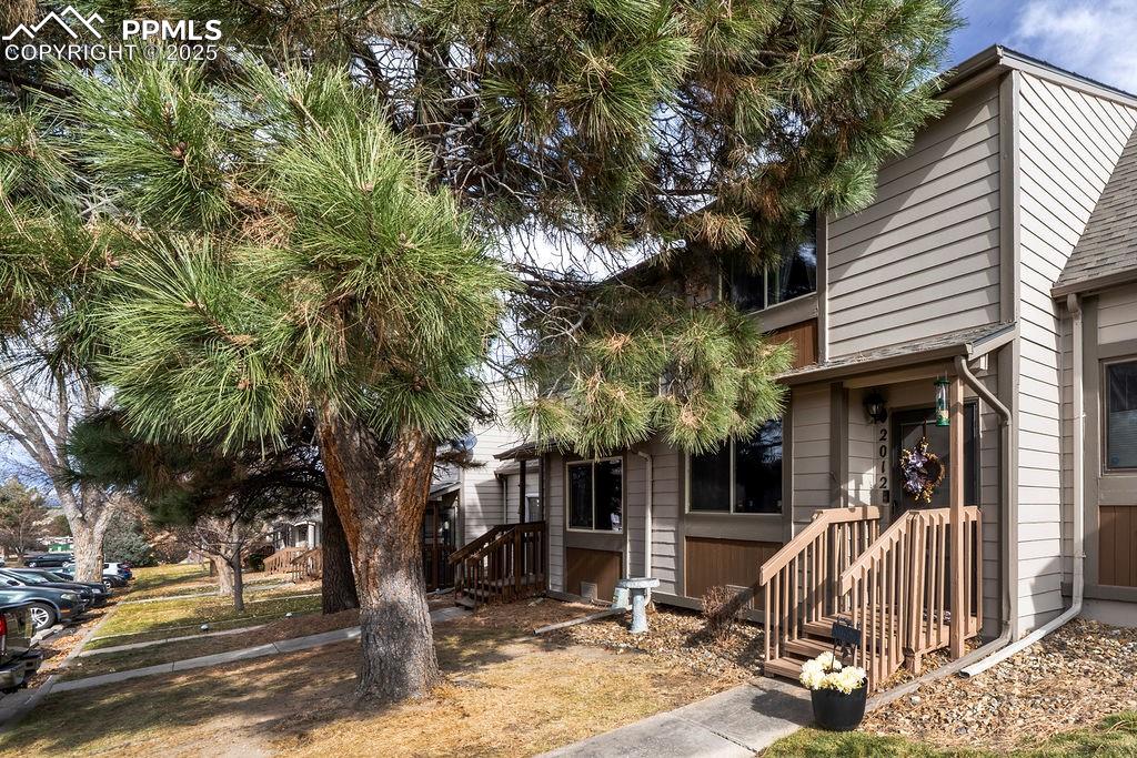 2012 Erin Loop Colorado Springs, CO 80918 - Photo 2 of 48 a view of a house with a tree and wooden fence