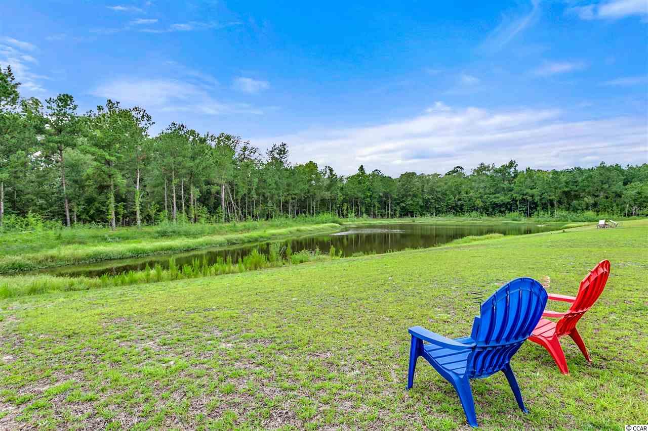 513 Irees Way Longs, SC 29568 - Photo 22 of 23 Gallery Image 22
