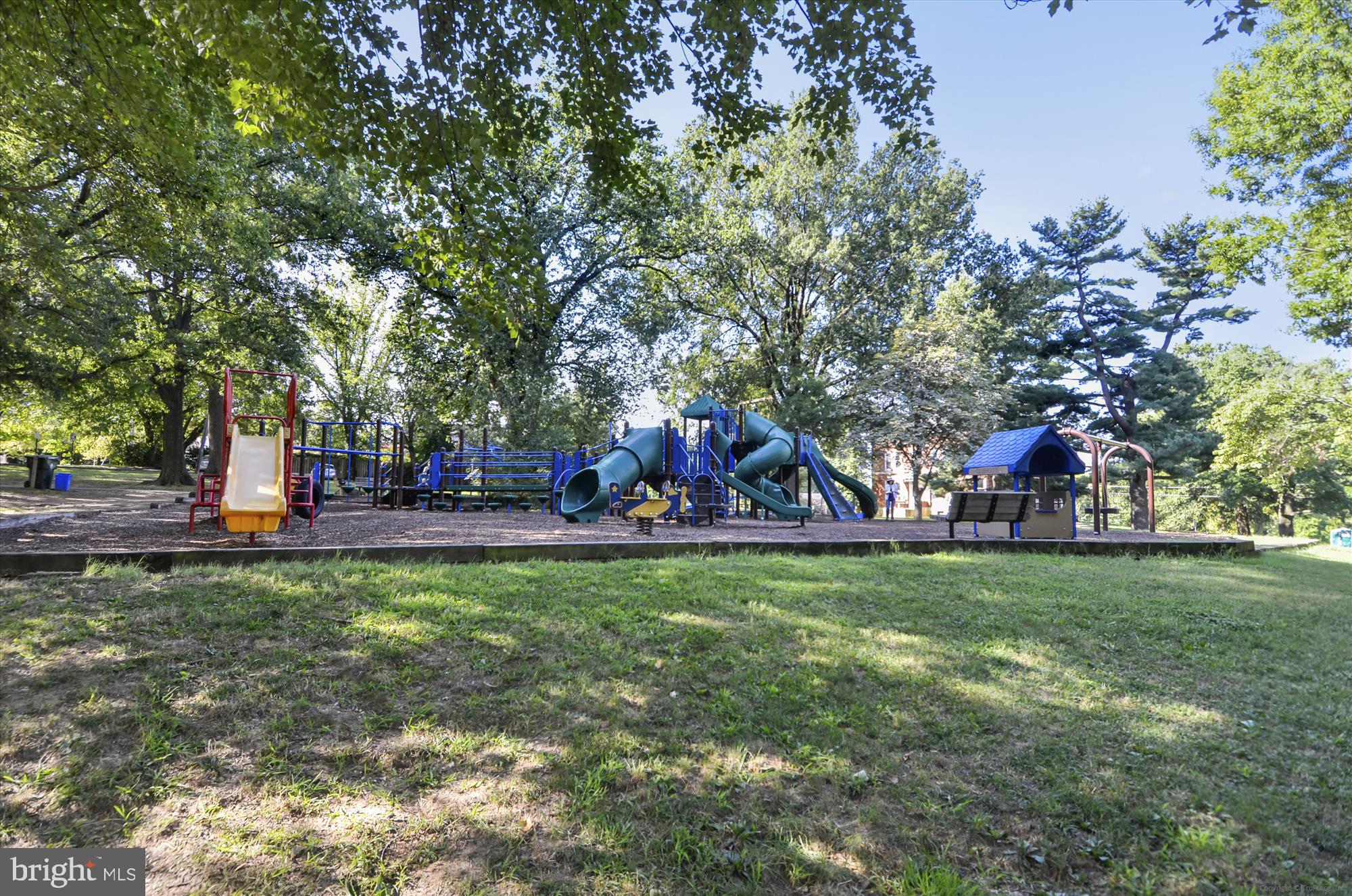 4800 Chevy Chase Drive, Unit 101 Chevy Chase, MD 20815 - Photo 16 of 17 a view of a park with large trees