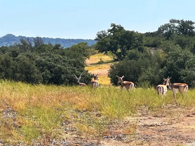 a view of a lake view