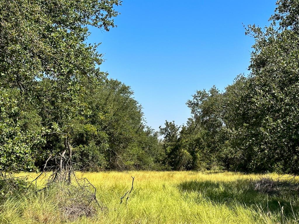 12300 County Road 367 May, TX 76857 - Photo 25 of 40 a view of swimming pool with a yard