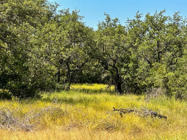 a view of swimming pool from a yard