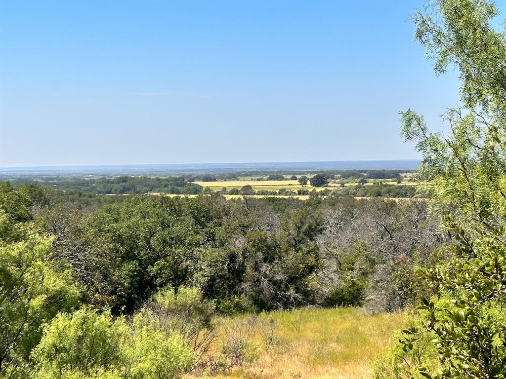 12300 County Road 367 May, TX 76857 - Photo 28 of 40 a view of an outdoor space and a yard