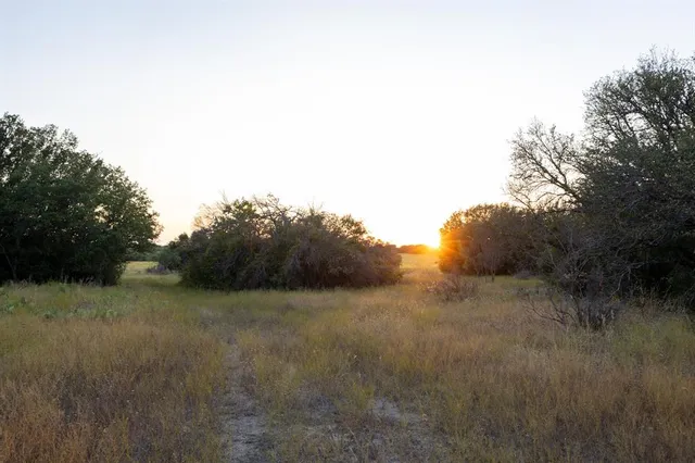 a view of a field of grass and trees