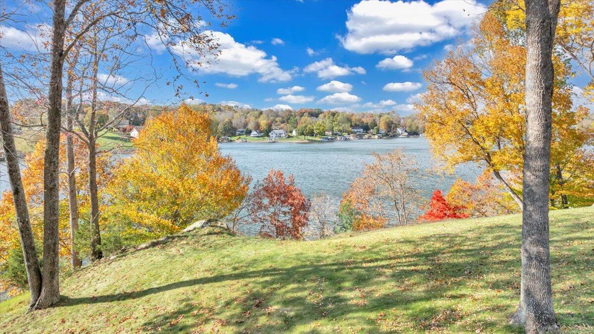 6641 Horseshoe Bend Road Goodview, VA 24095 - Photo 167 of 181 a view of lake view