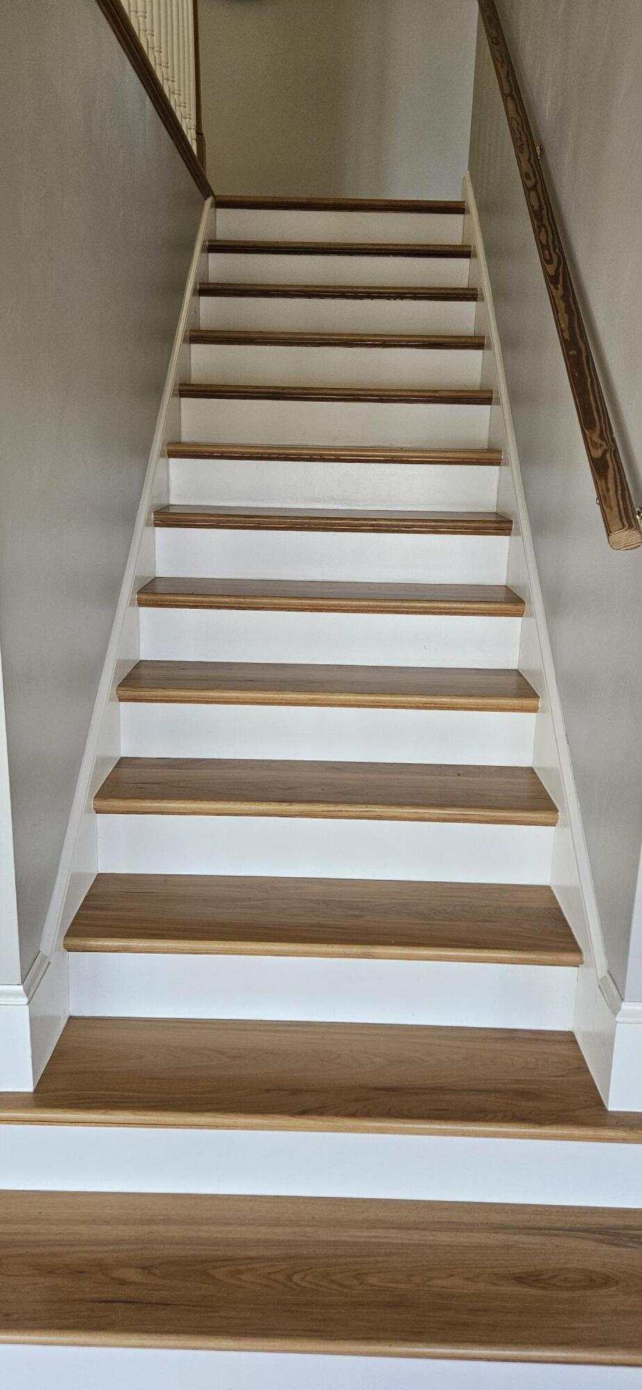 6641 Horseshoe Bend Road Goodview, VA 24095 - Photo 73 of 181 Front stairs to lifted living room