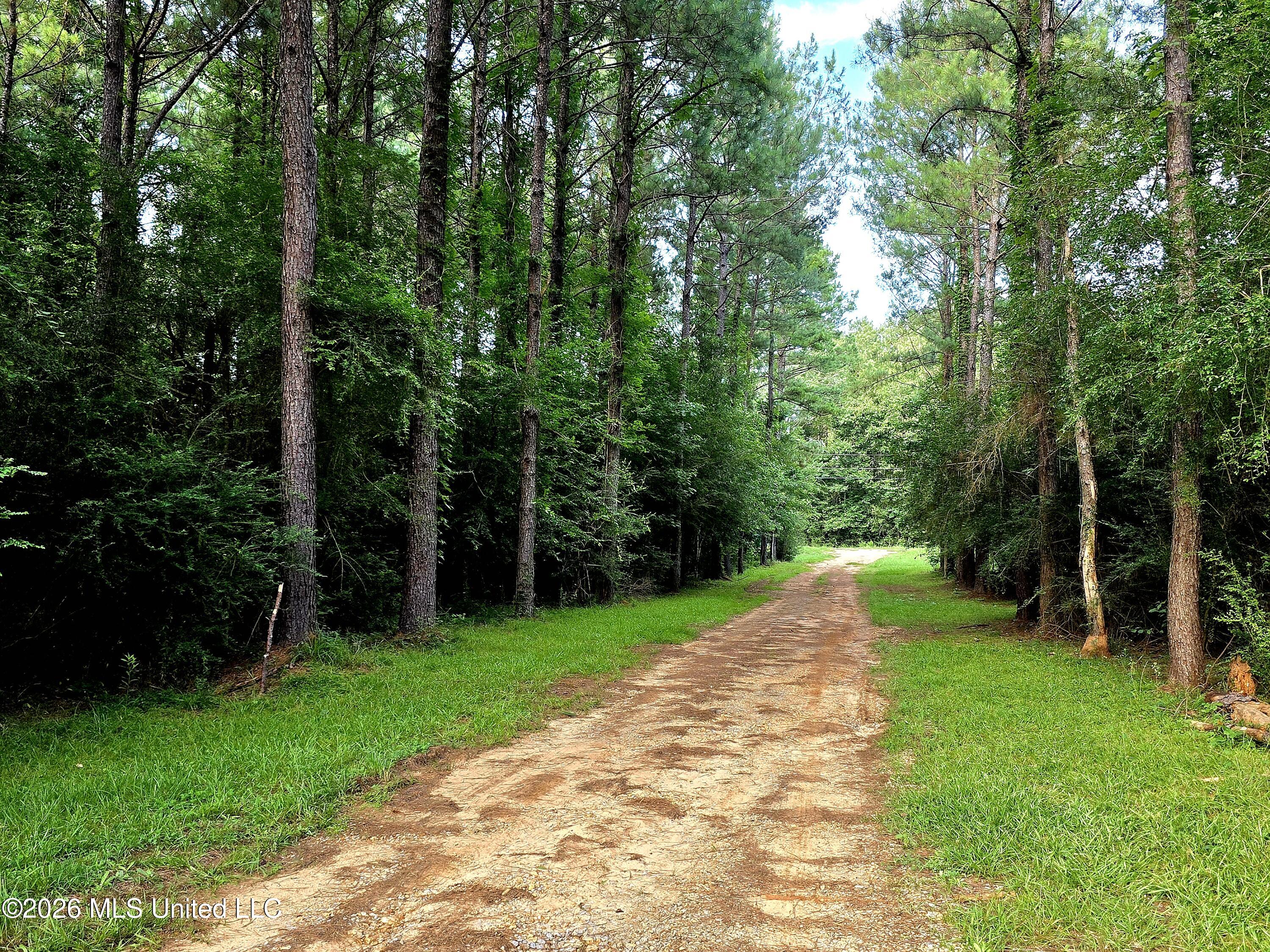 1189 Shady Grove Road Osyka, MS 39657 - Photo 4 of 27 20260622_183132