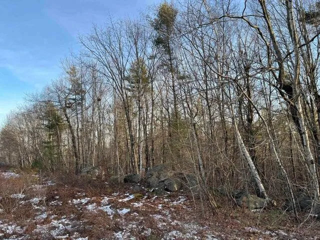 $100,000 | 0 North Shore Road, Gray, ME 04039