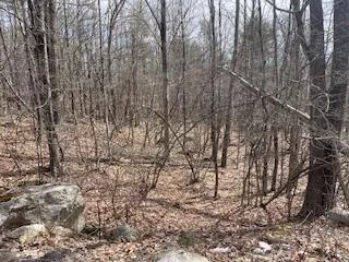 $100,000 | 0 North Shore Road, Gray, ME 04039