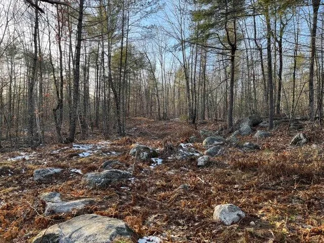 $100,000 | 0 North Shore Road, Gray, ME 04039