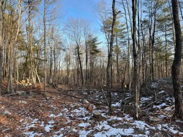 $100,000 | 0 North Shore Road, Gray, ME 04039